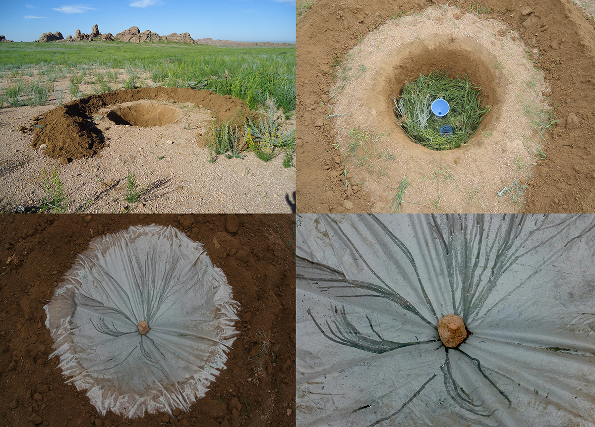 Water Conversations - Gobi desert, Mongolia 3