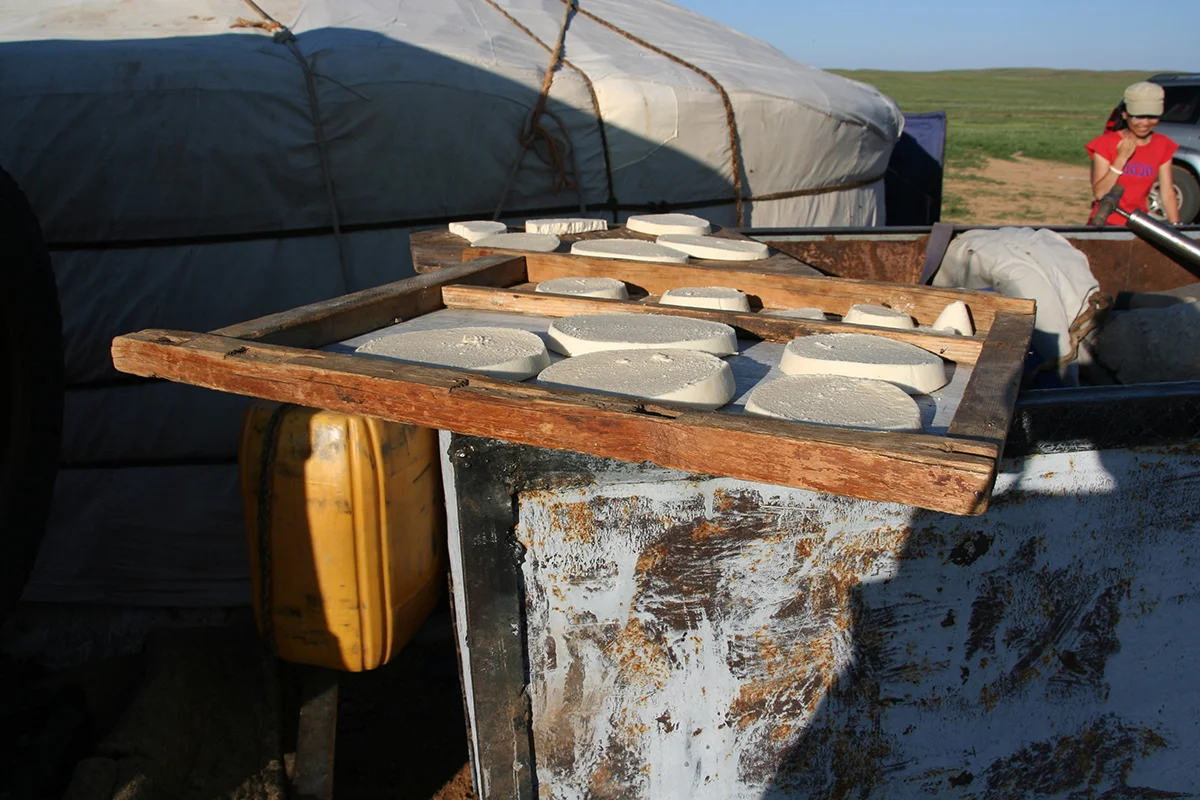 Drying cheese for winter.JPG