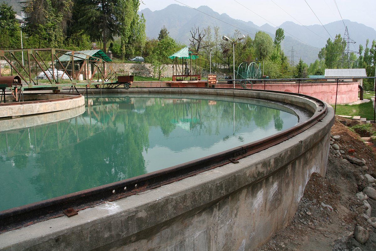 Water Plant Kashmir.JPG