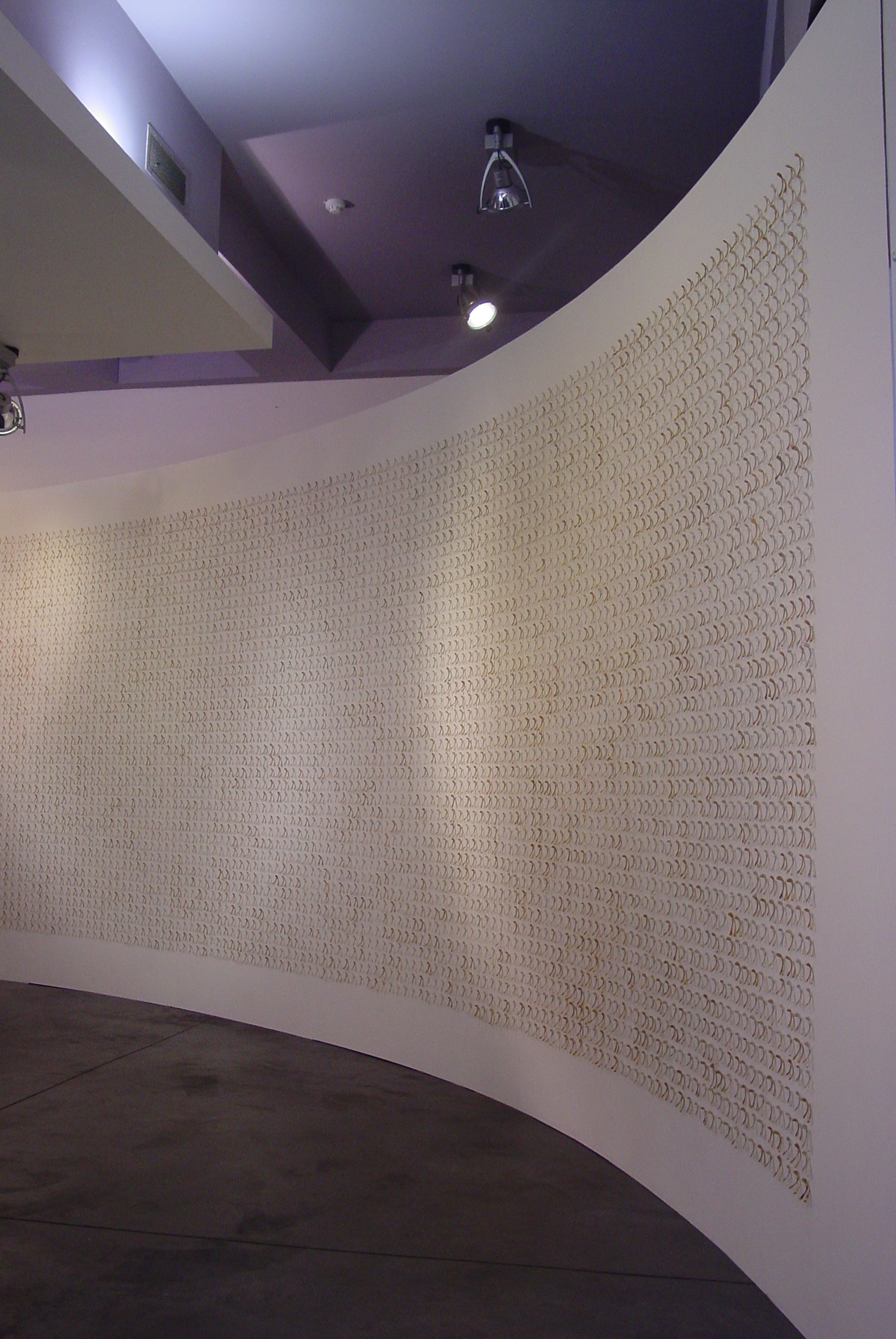 wishing wall - Anna Macleod 2.jpg