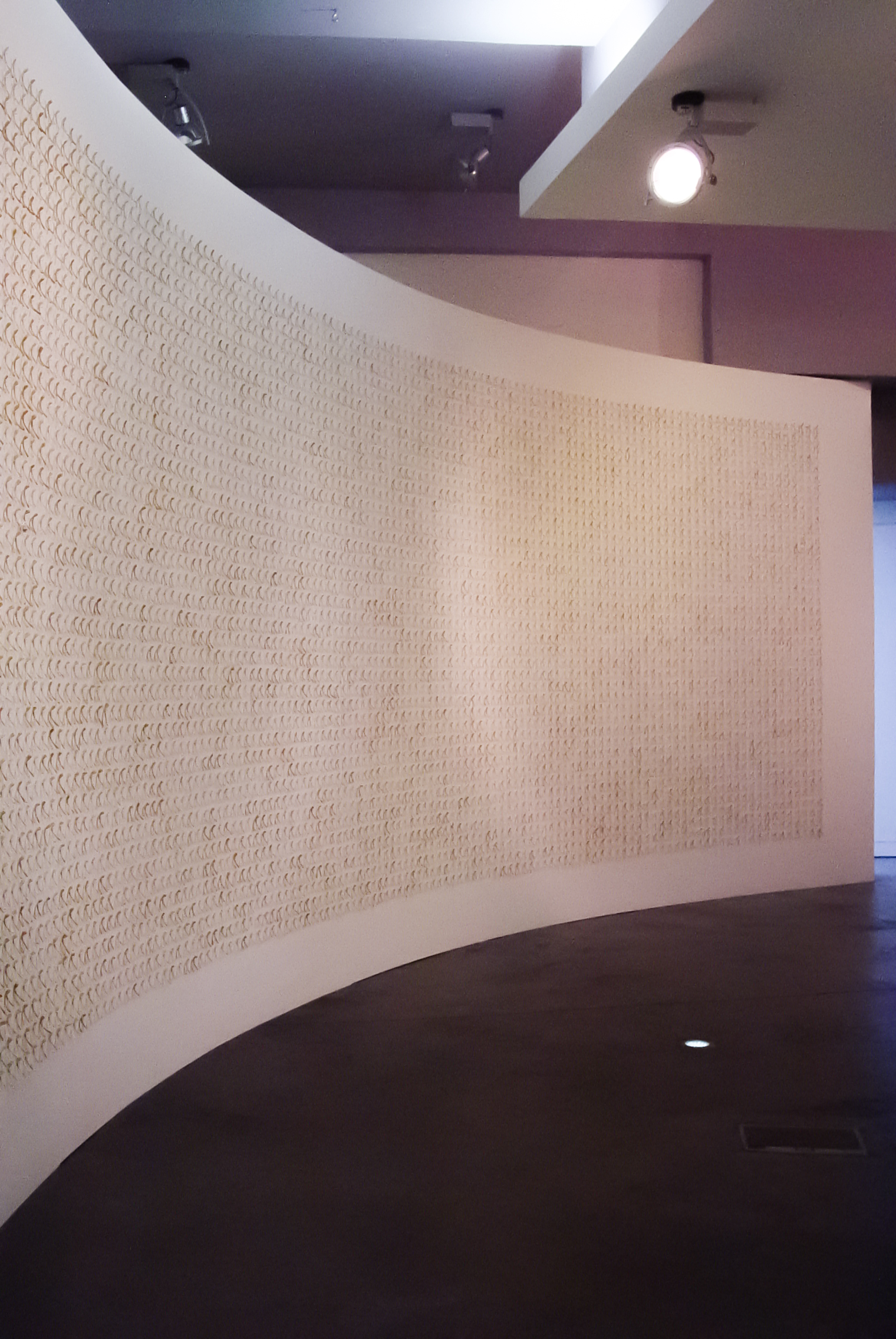 wishing wall - Anna Macleod 3.jpg