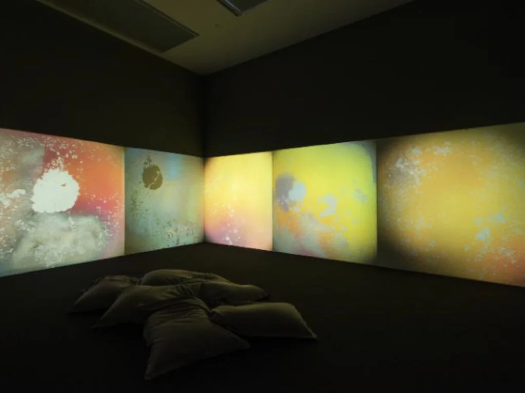 Spatial Dynamics Extract 4.001.jpeg