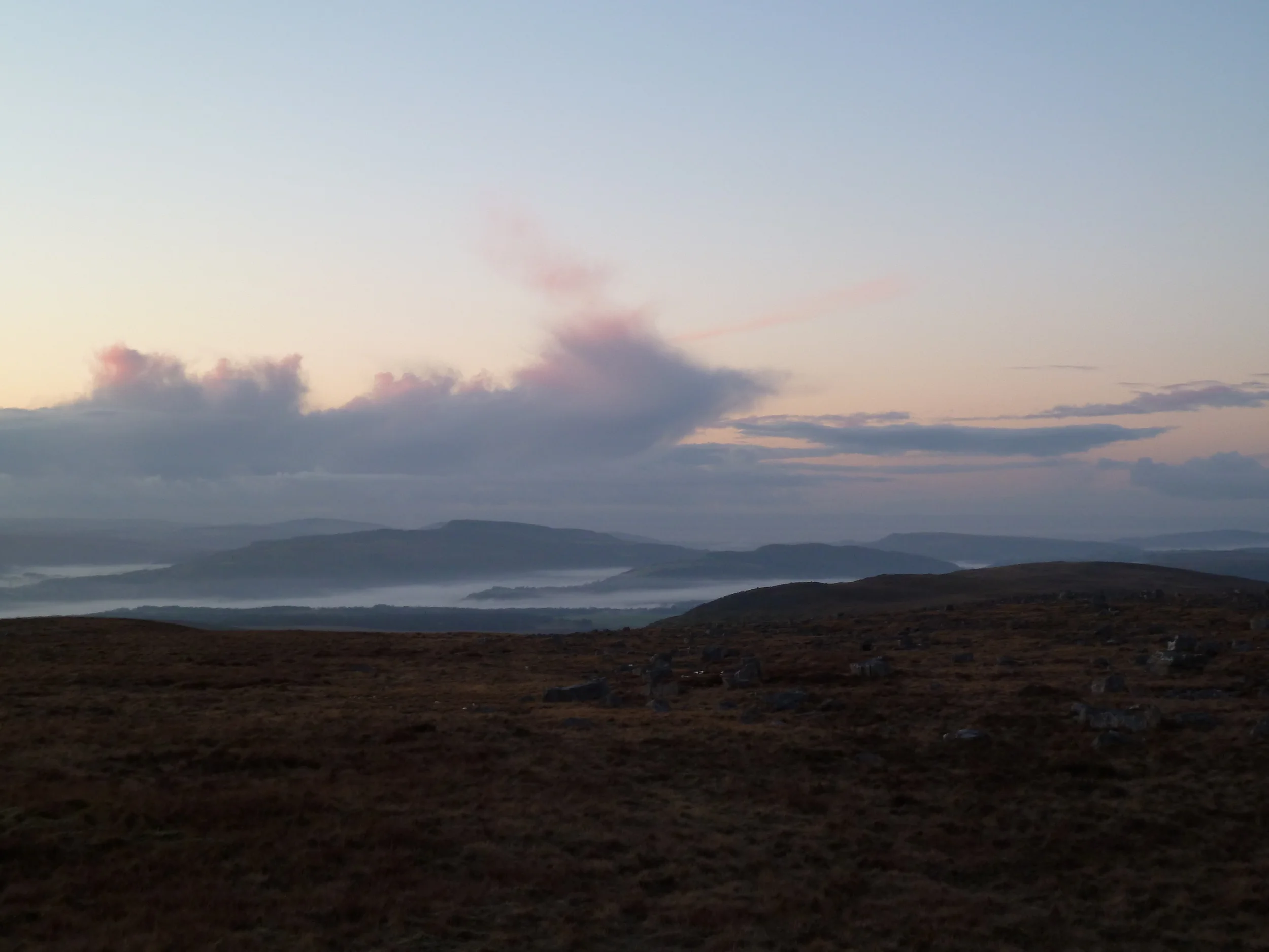 The Insistent Question