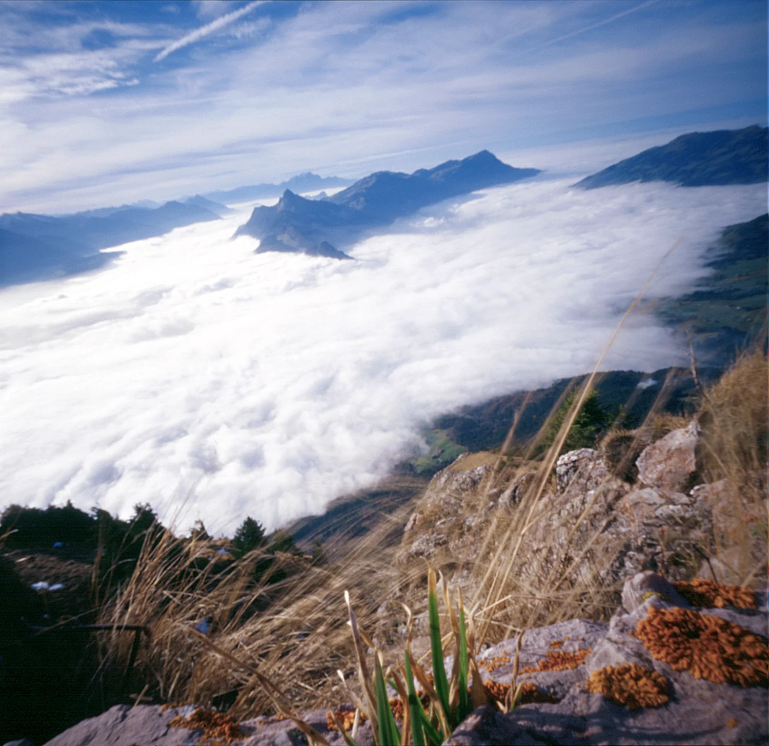 hohe nebel.jpg
