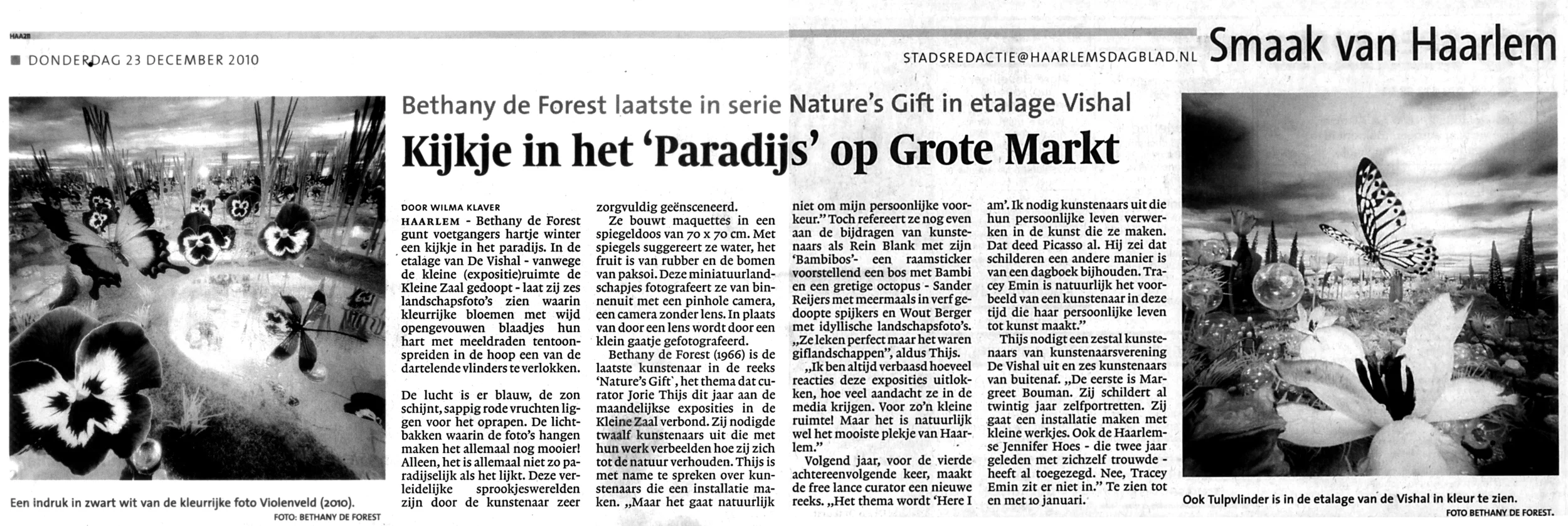 Haarlems dagblad