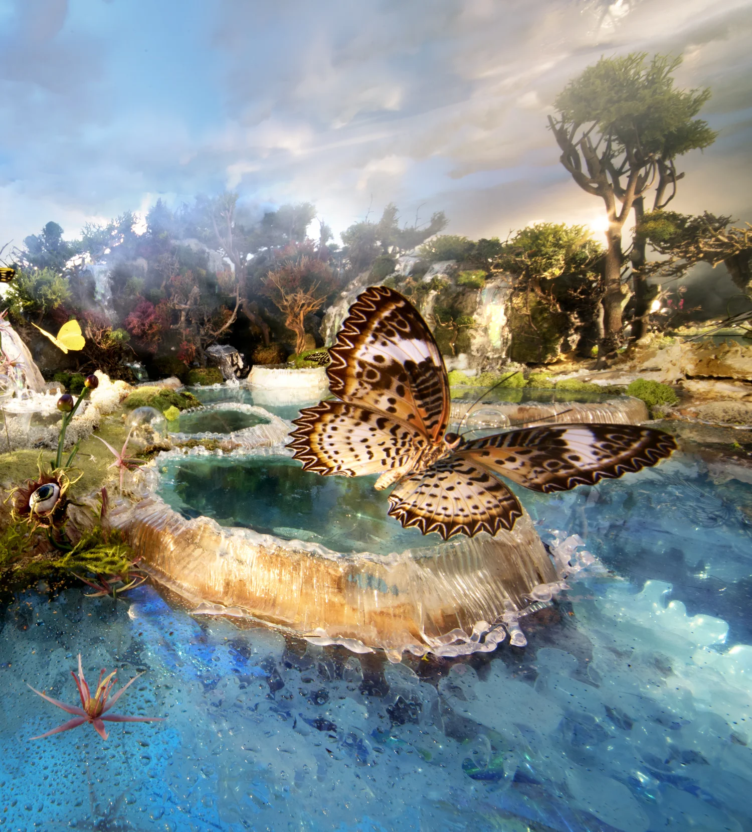 Butterfly lake 6