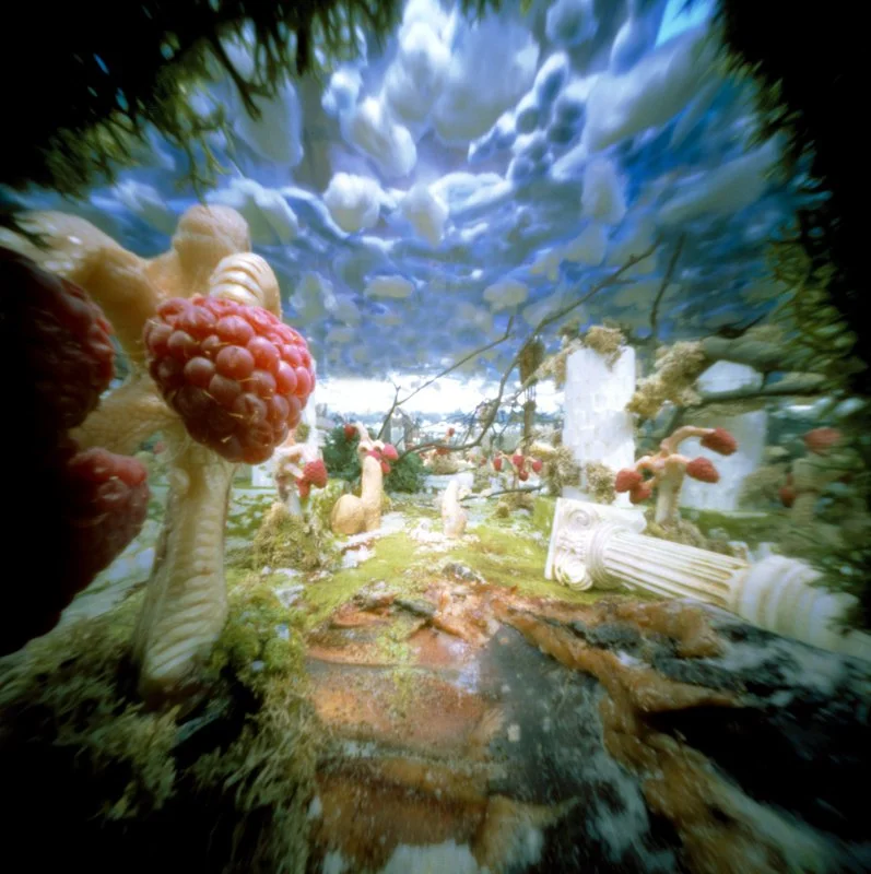 'Jungle' Pinhole photographs