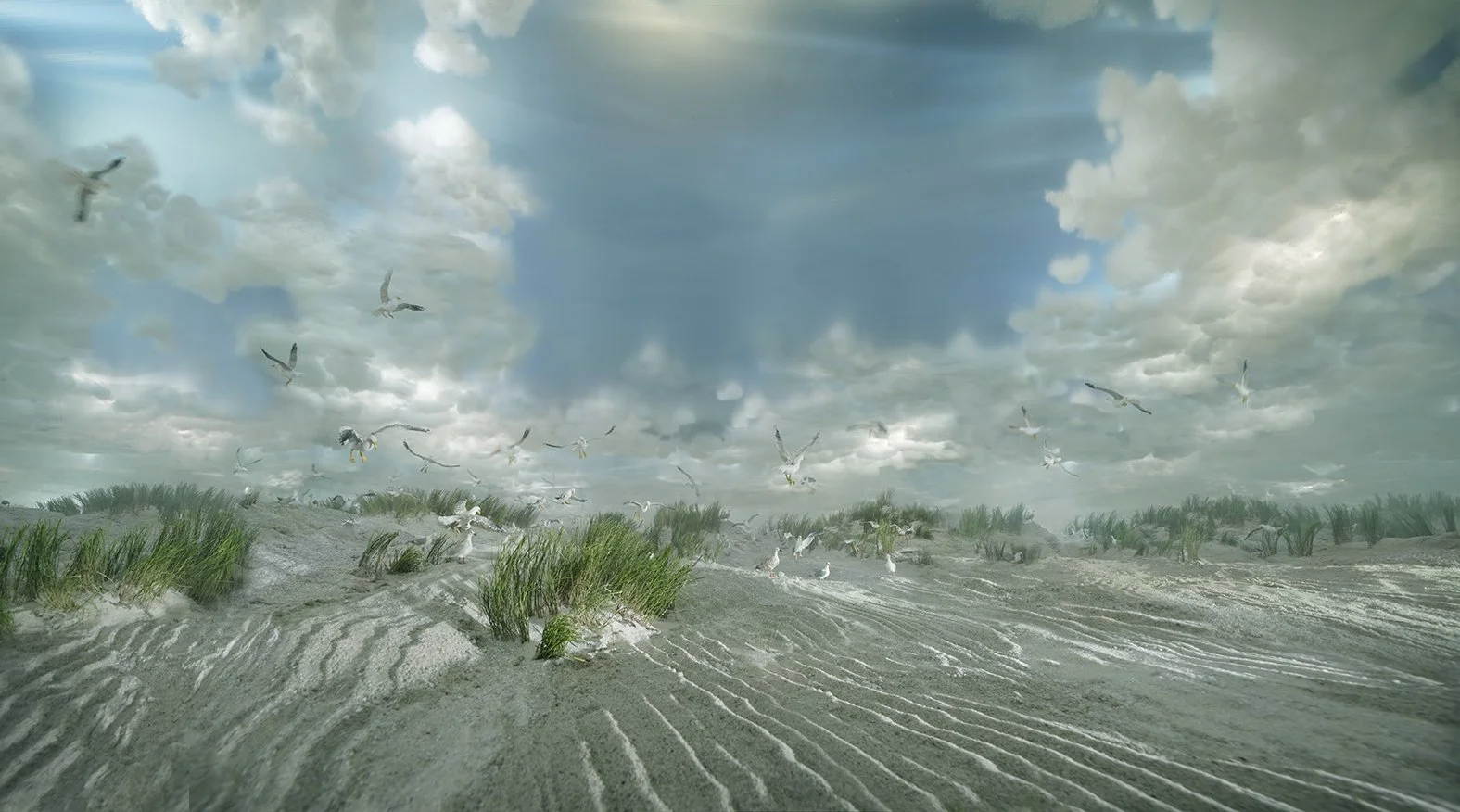 Duinen panorama