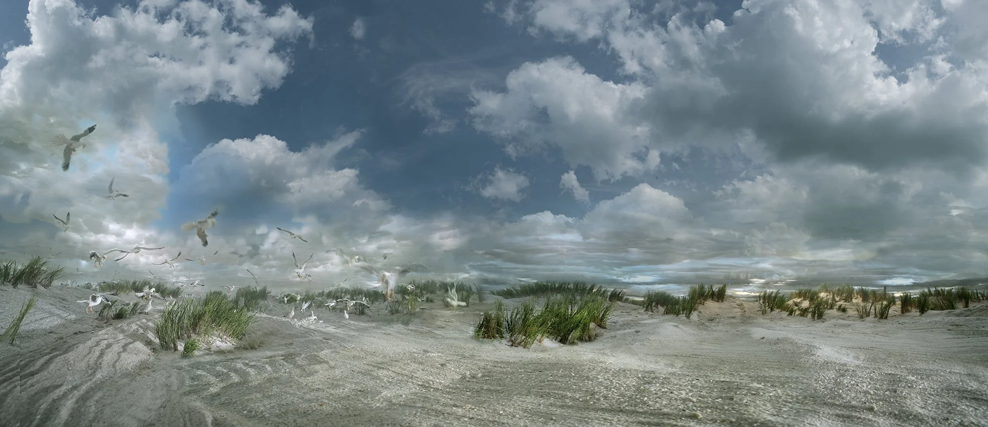 Duinen panorama 2