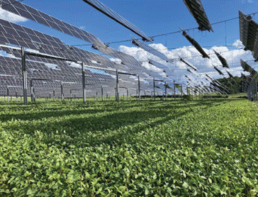 November 2025 - Astris congratulates TSE on €106 million financial close for a 120MW portfolio of photovoltaic and agrivoltaic plants