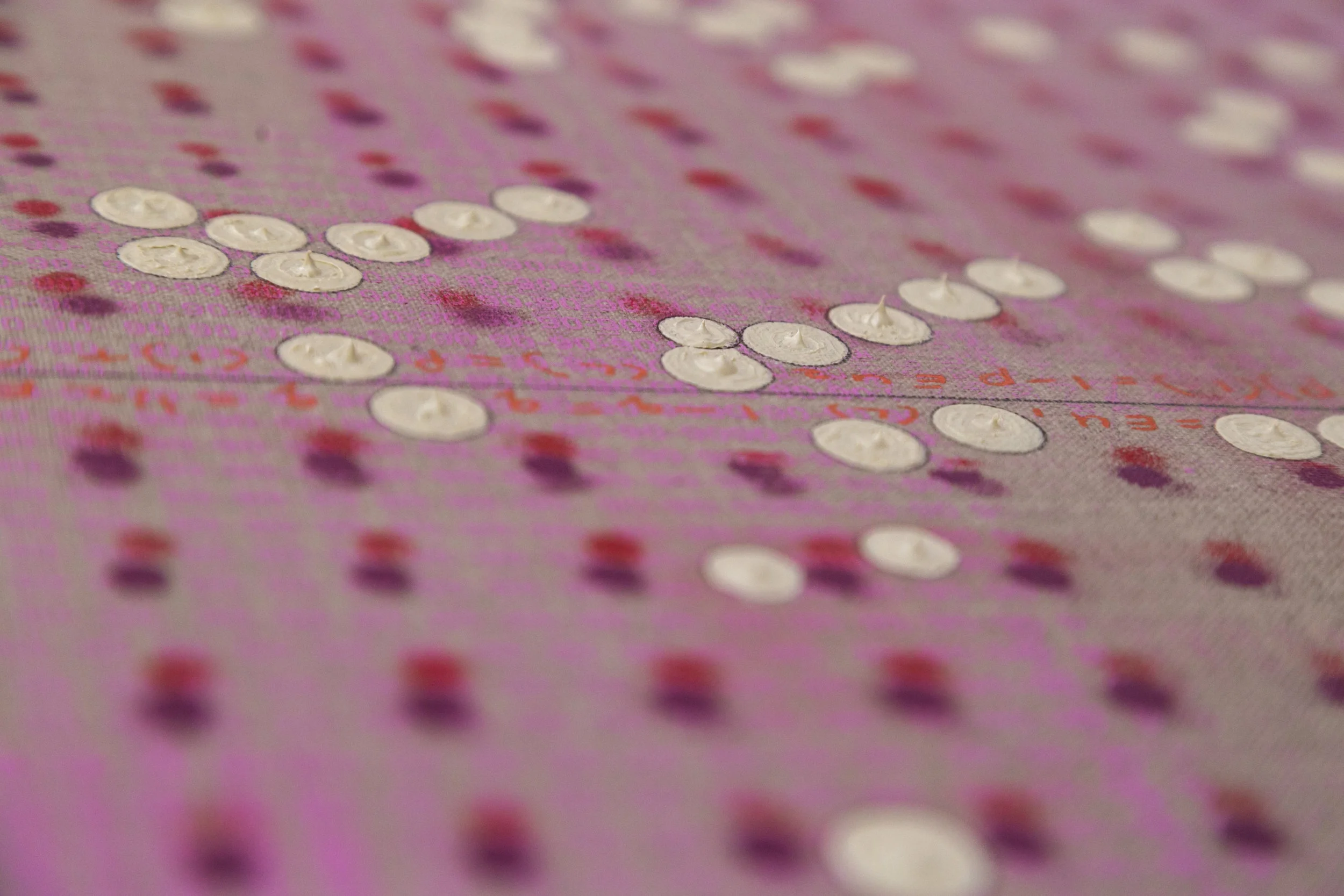 Irrational Exuberance (detail II) copy.jpg