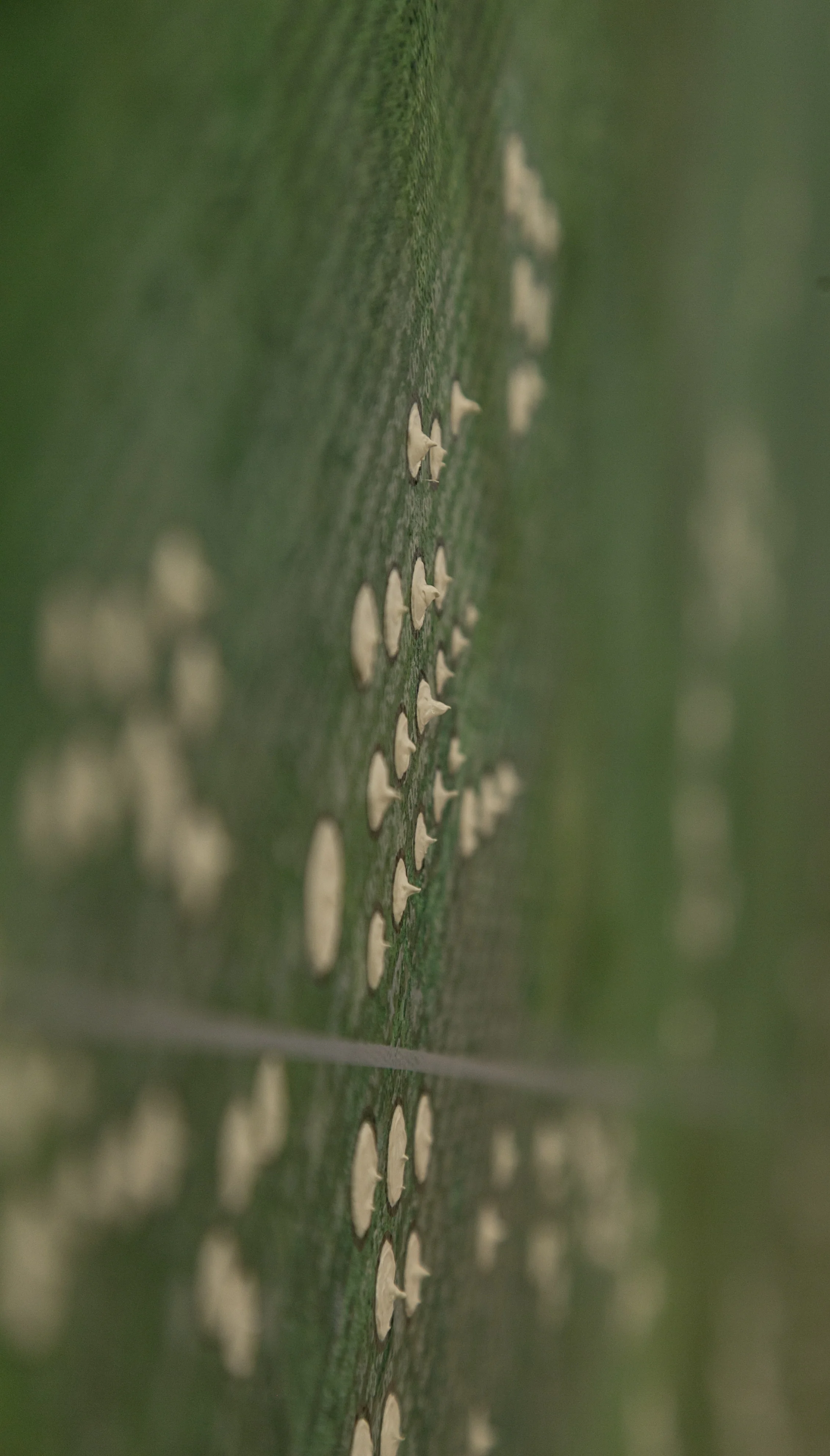 Irrational Exuberance (Development)  (detail) copy.jpg