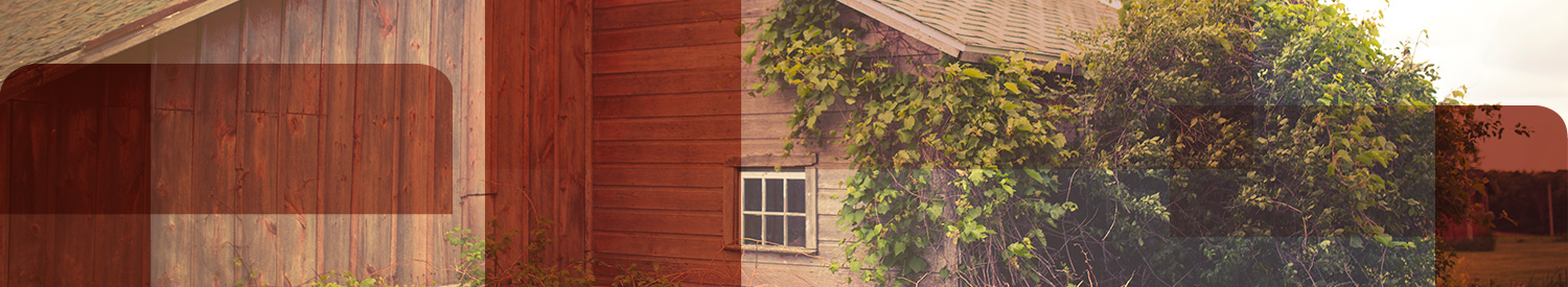 HomeHeader.jpg