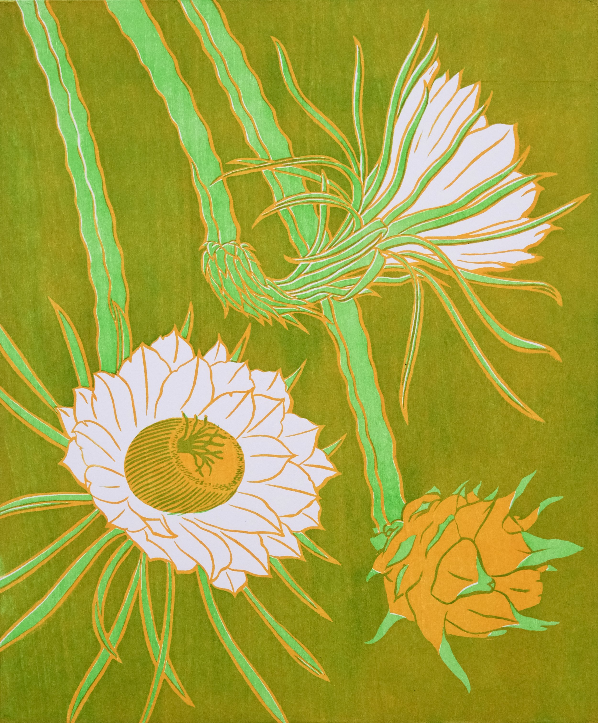 Dragonfruit ,  USD 275.00 