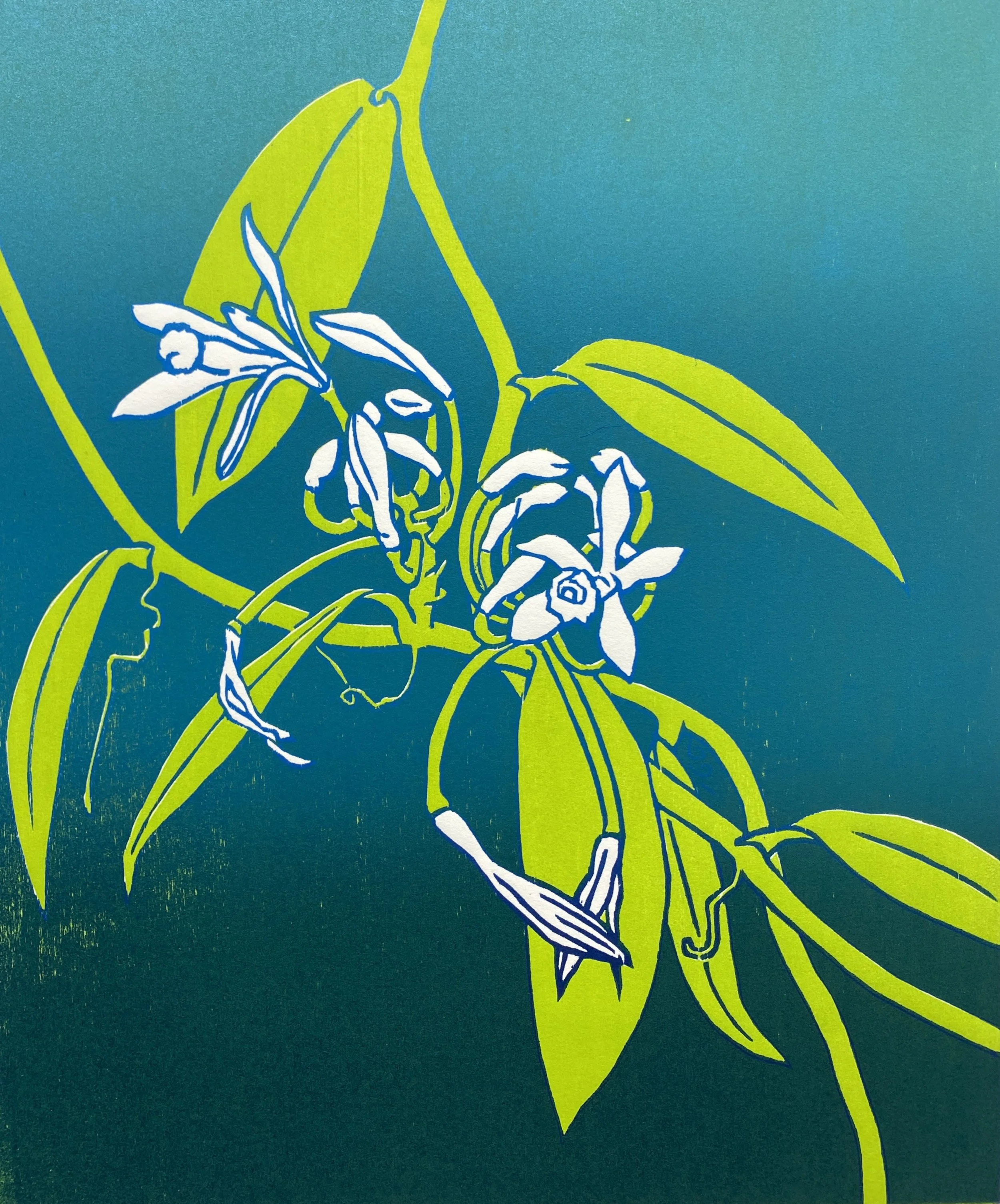 Vanilla Orchid , USD 275.00 