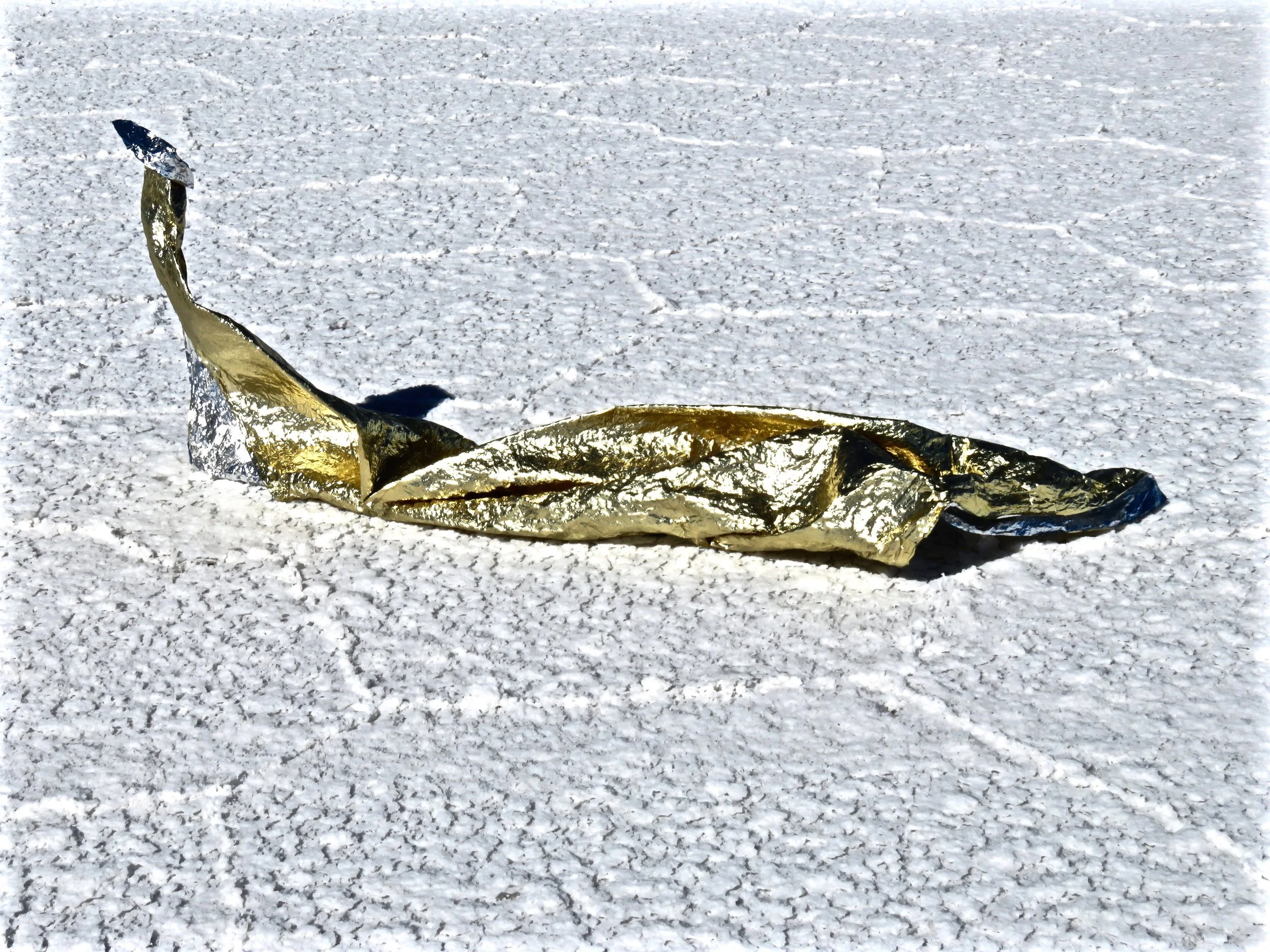 Serpiente gloriosa.jpg