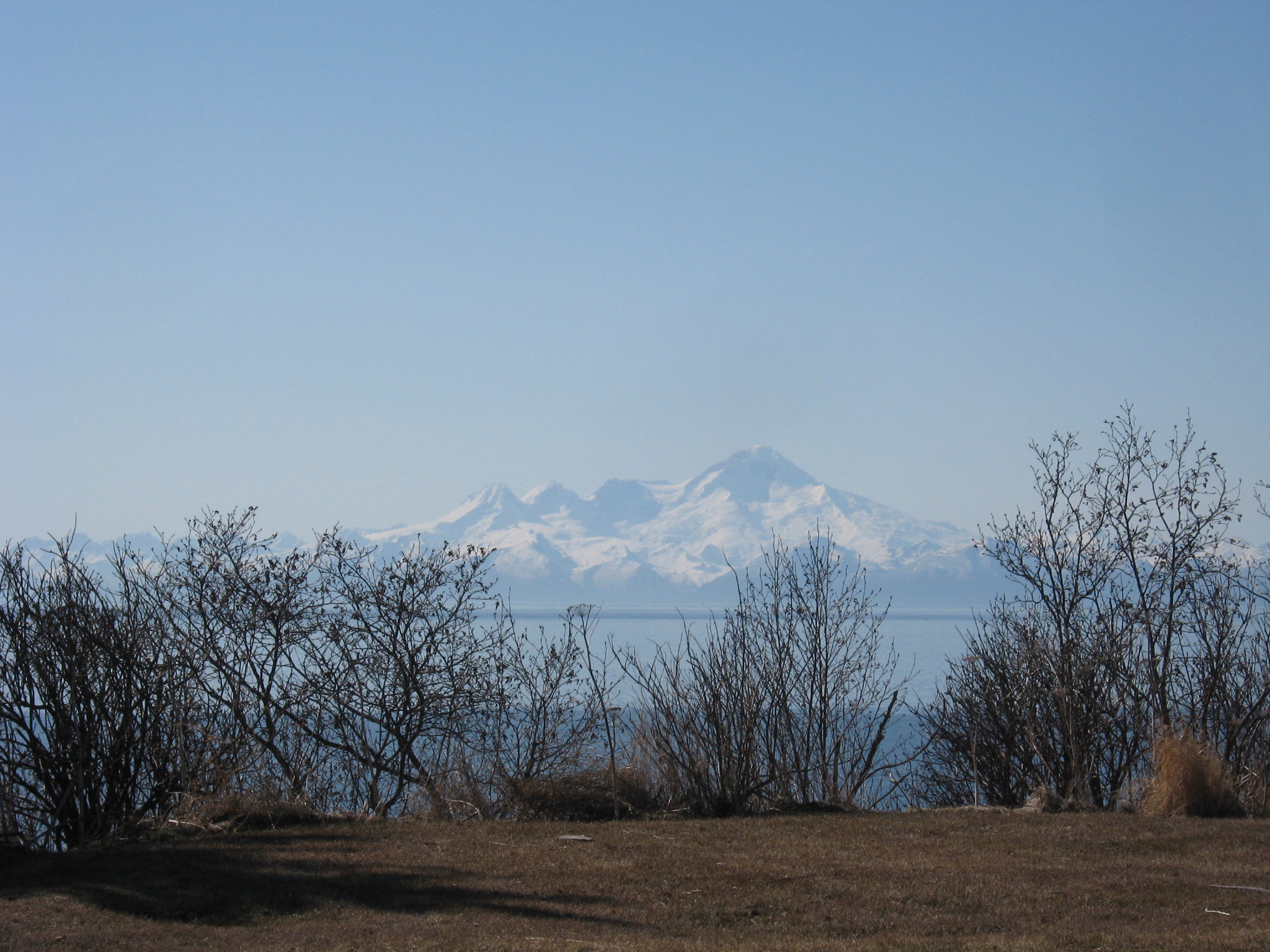 IMG_1533.JPG