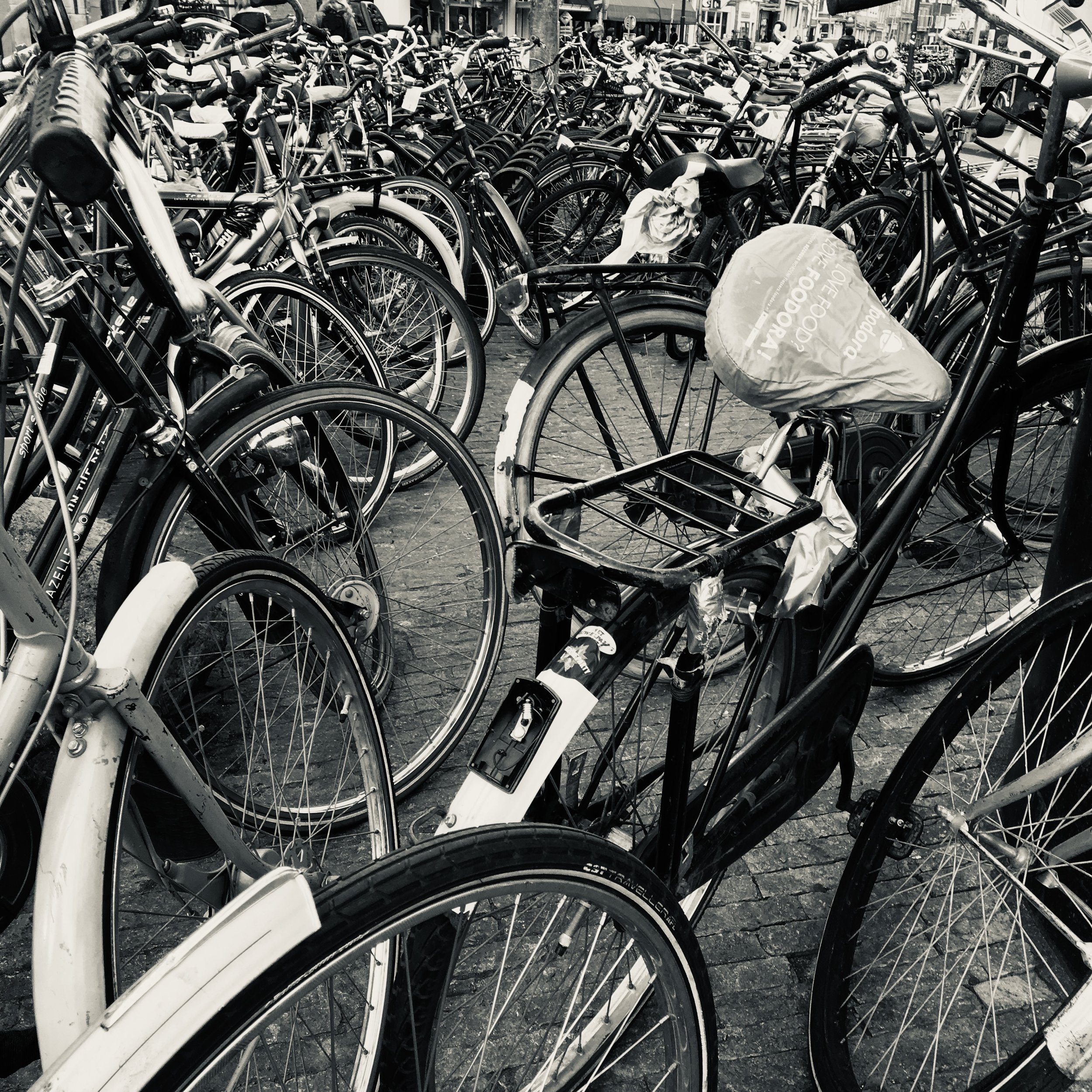 12B71699-C002-4D0A-B20D-1016373B4BA2_1_201_a.jpeg