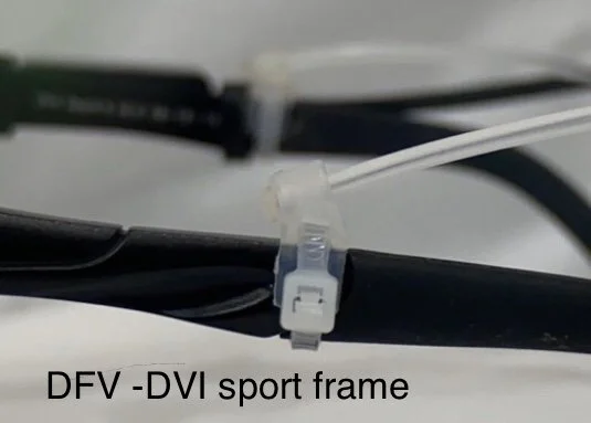 DFV-DVI sport frame.jpg