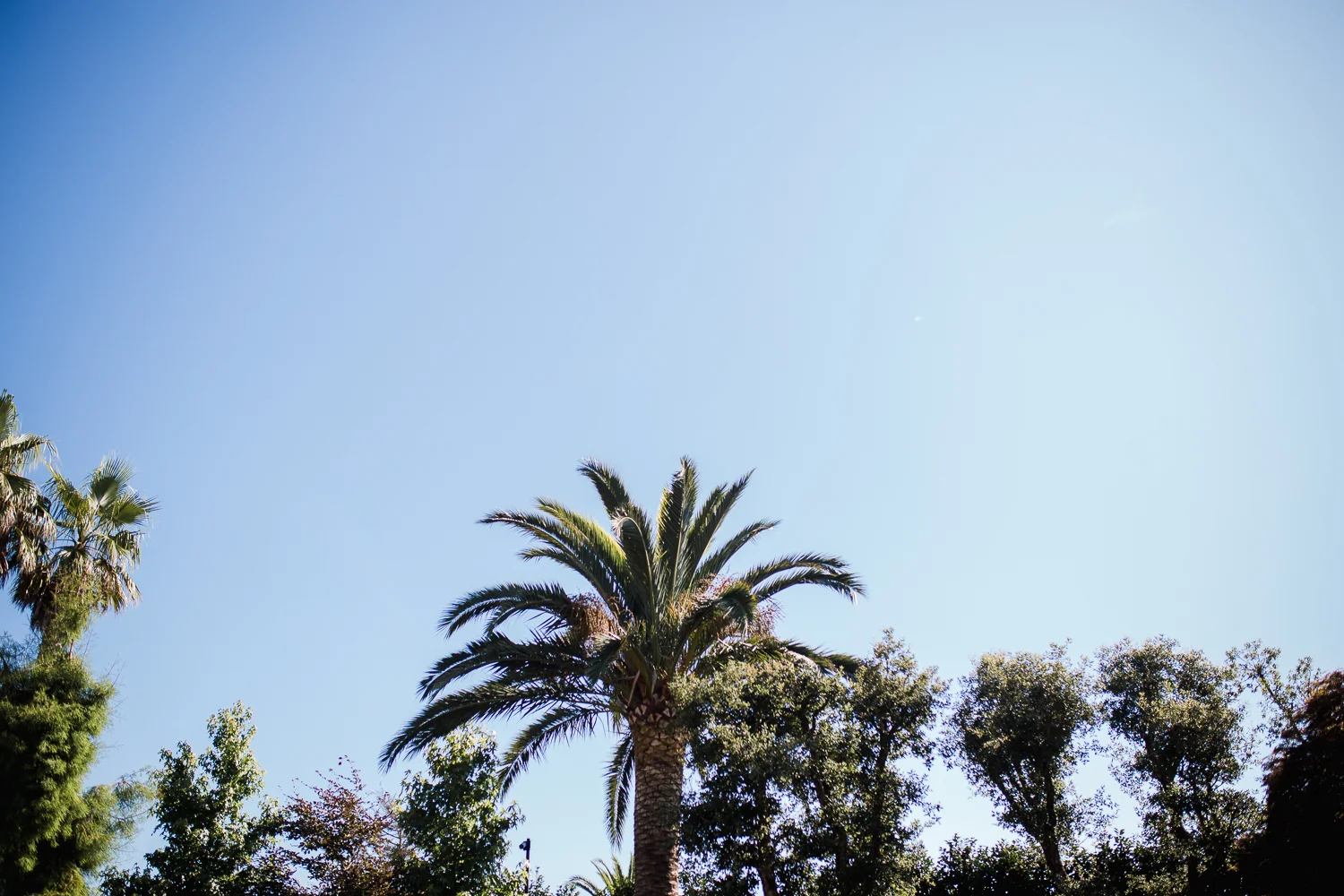 Devon_Wedding_Photographer-50.jpg