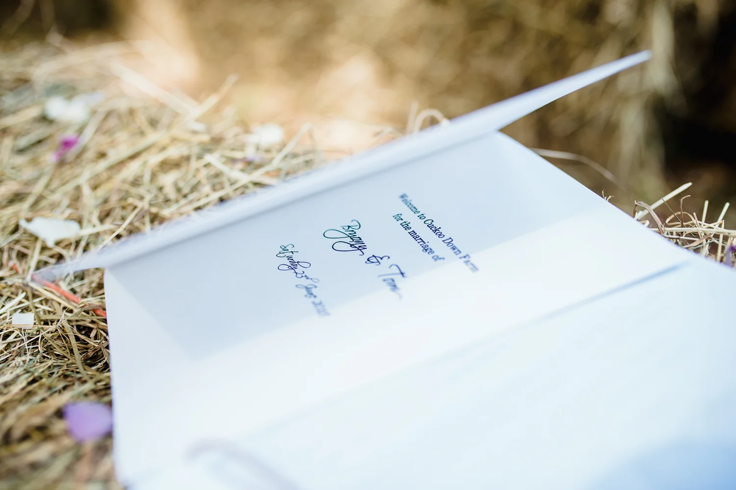 BRYONY AND TOM CUCKOO DOWN FARM WEDDING-57.jpg