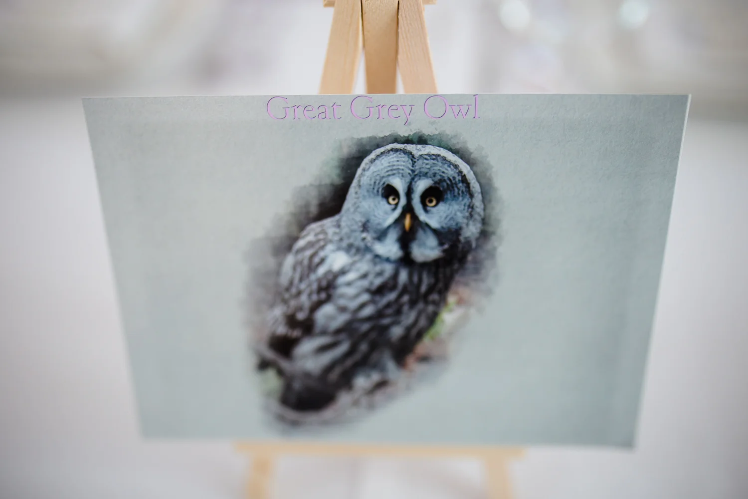 KATHRYN_CLARKE-MCLEOD_PHOTOGRAPHY-32.jpg