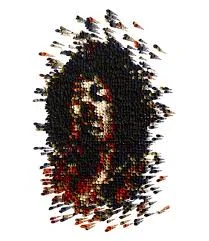 imgres-1.jpg