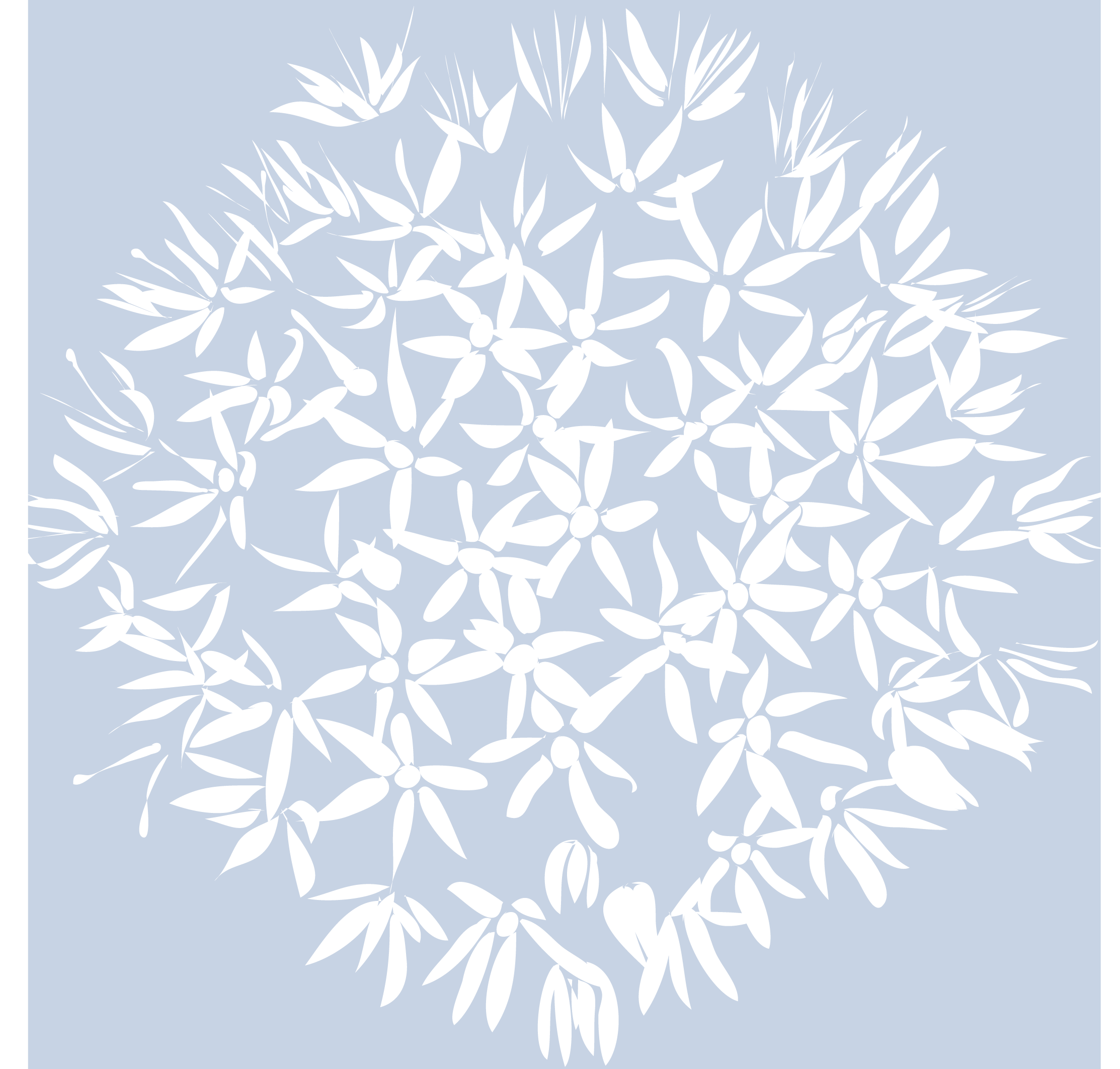Allium profile pic for social media.png