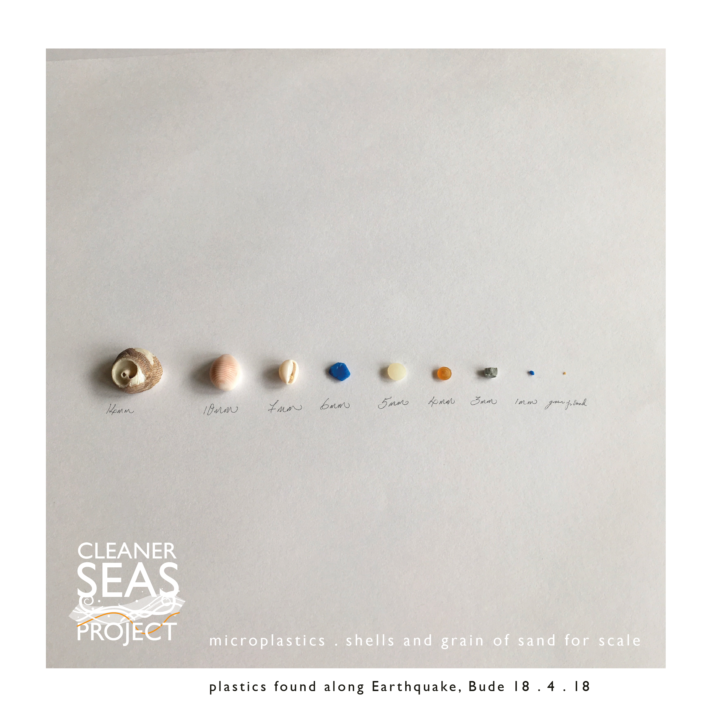 Cleaner Seas microplastics, shell & grain of sand.png