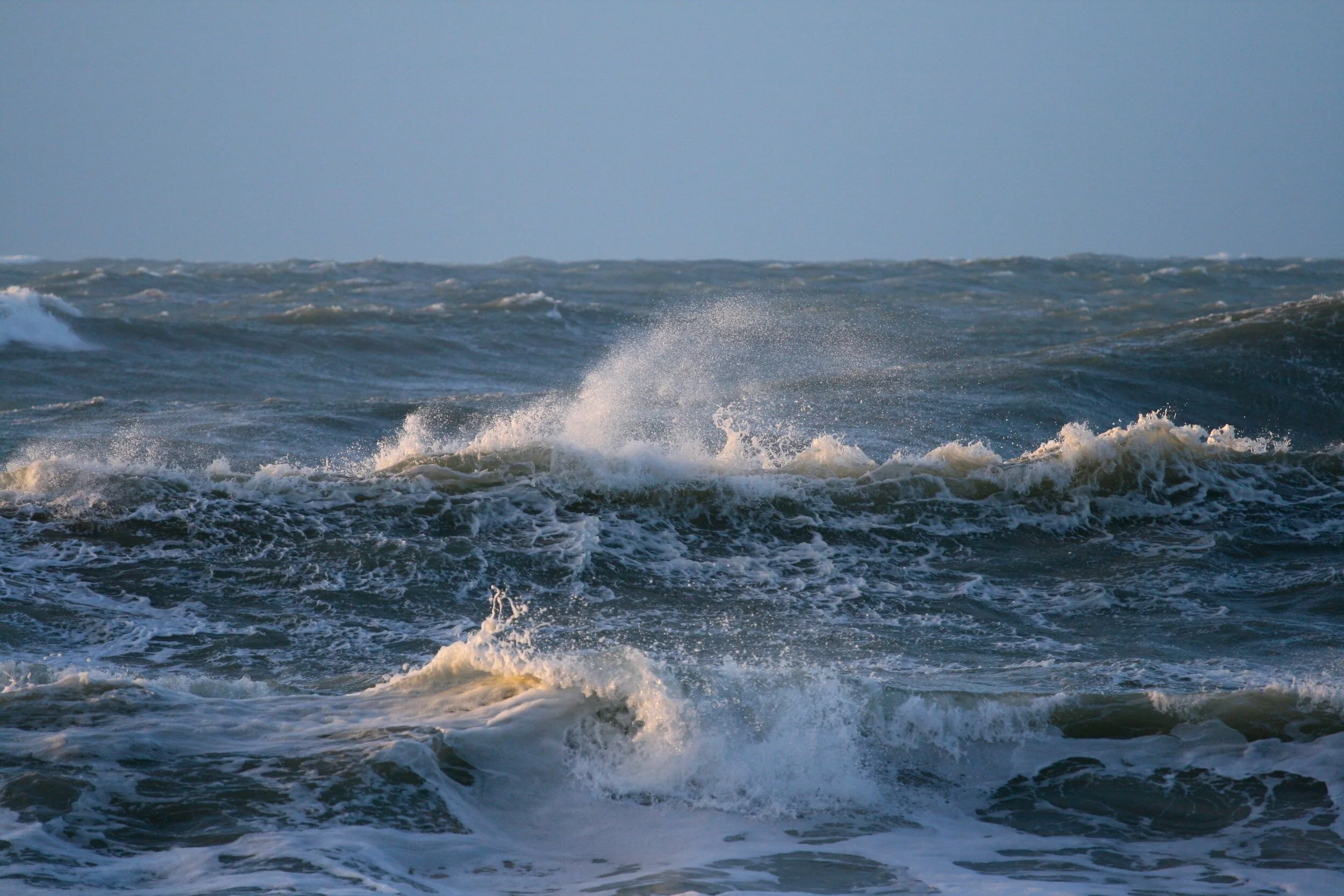 IMG_9716_2.jpg