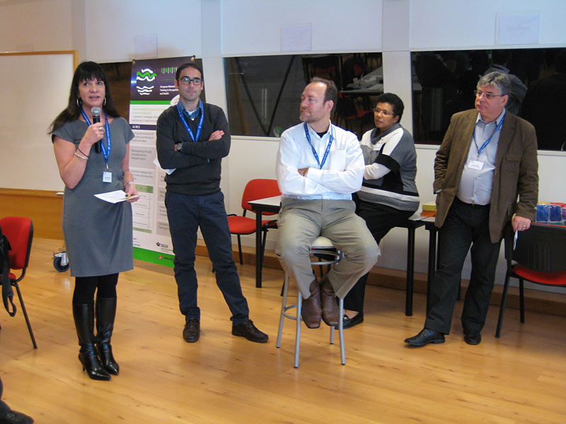 Sue boychuk representing canada at the international mainstreaming health and safety education in education systems conference. Turin, Italy 2012