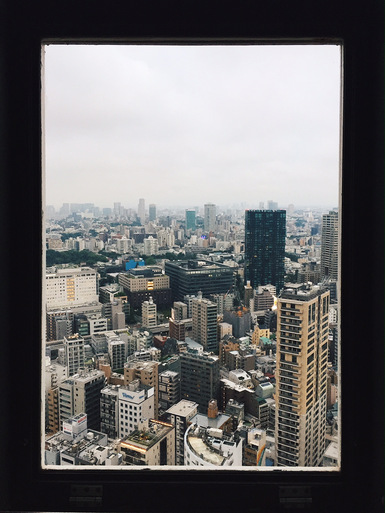 view from the Tokyo Tower. 