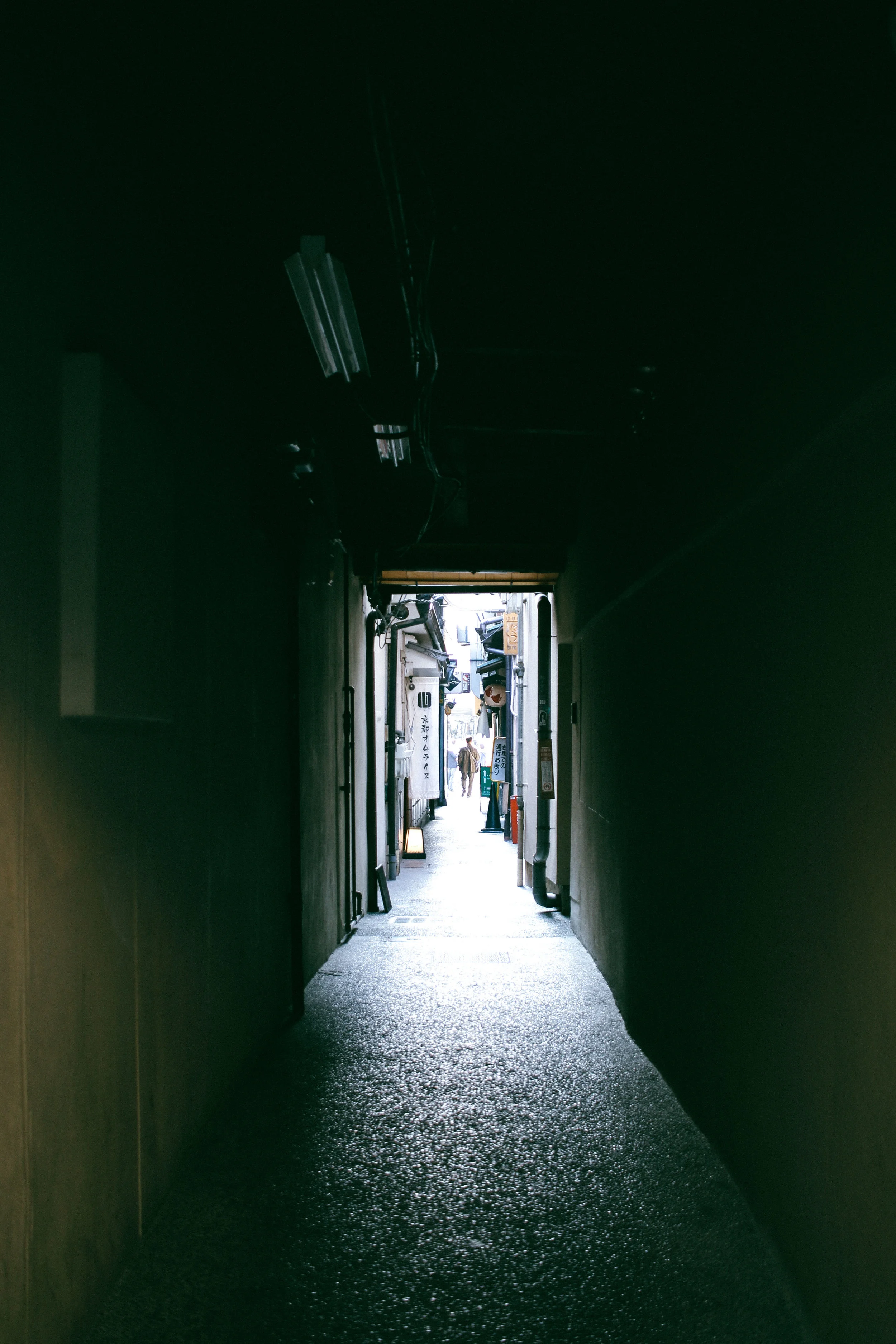 1H7A0418.jpg