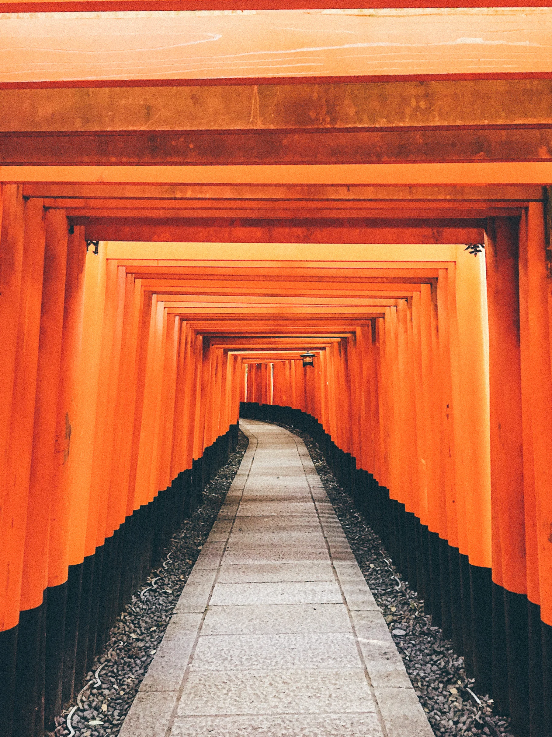 6B707A76-BEC6-41C7-A677-1A5B18CC577D.jpg