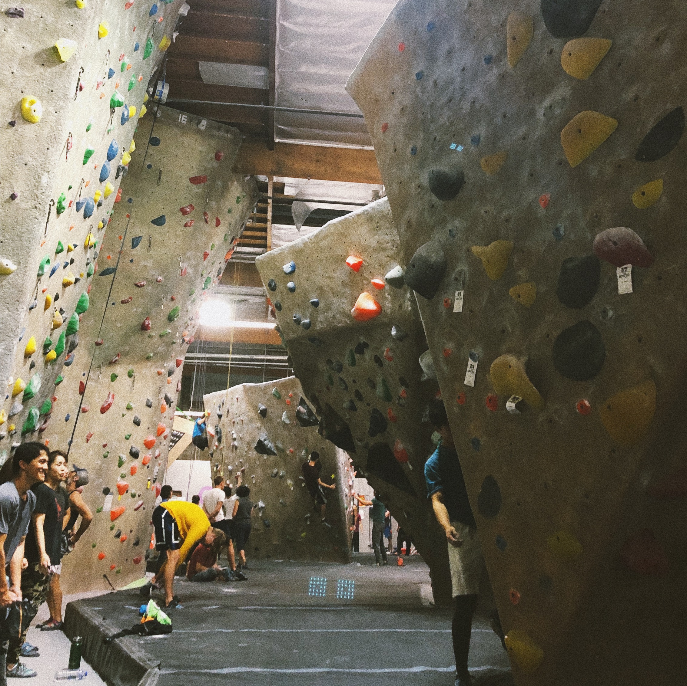 climbing // newest hobby and recent obsession Work nearly every muscle in your body while going at a leisurely pace and chatting with your friends in the process? Sounds like the perfect way to workout to me.