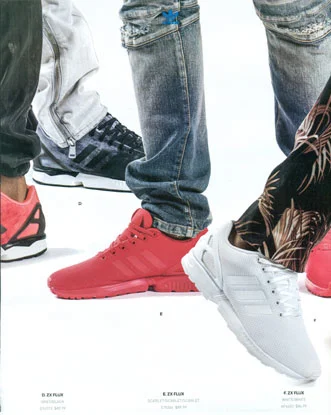 ZXflux0005.jpg