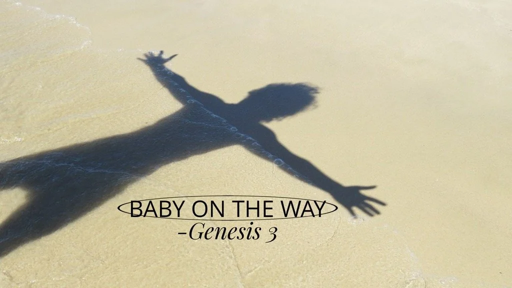 Sermon November 10th, 2024