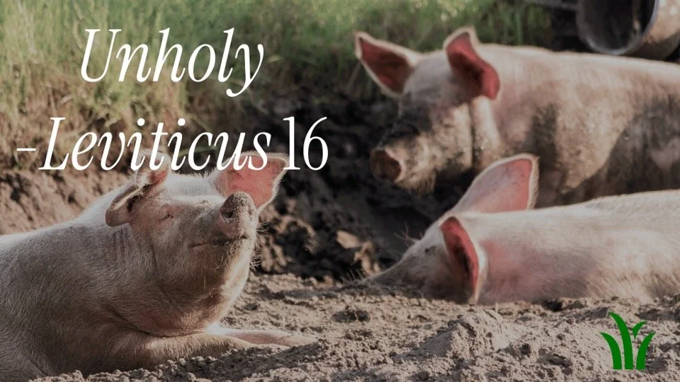 Sermon February 22nd, 2026