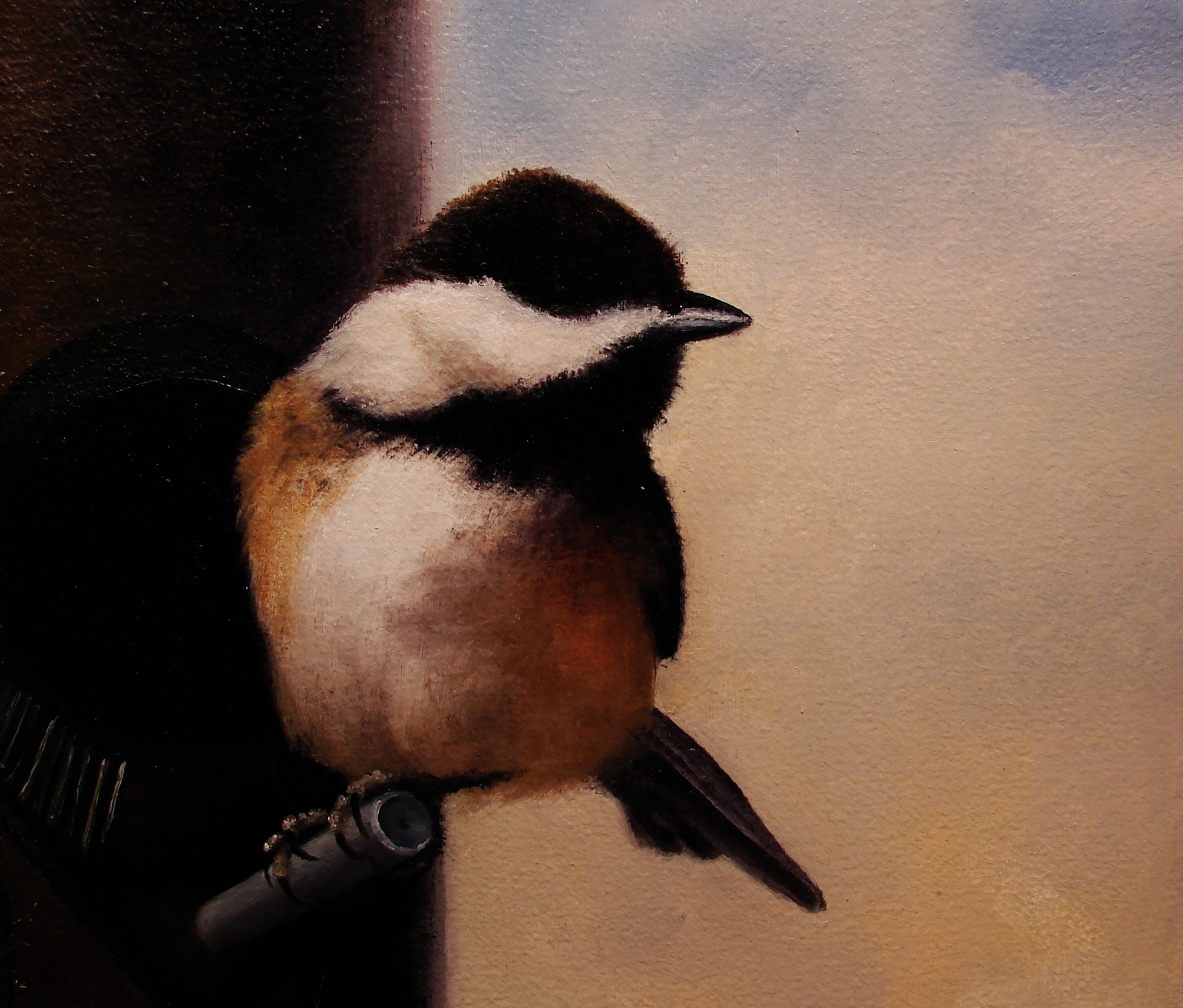 Chickadee II