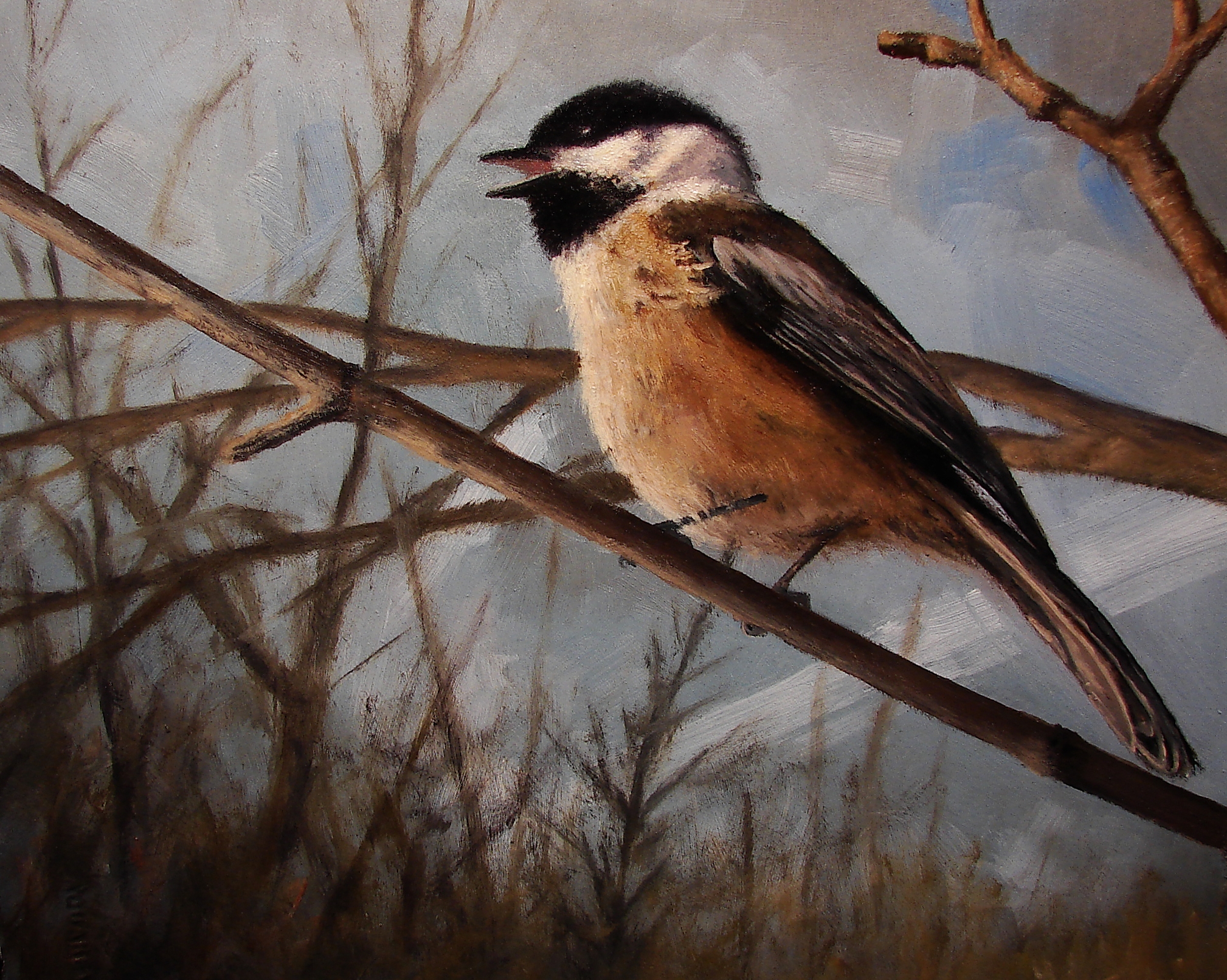 Chickadee
