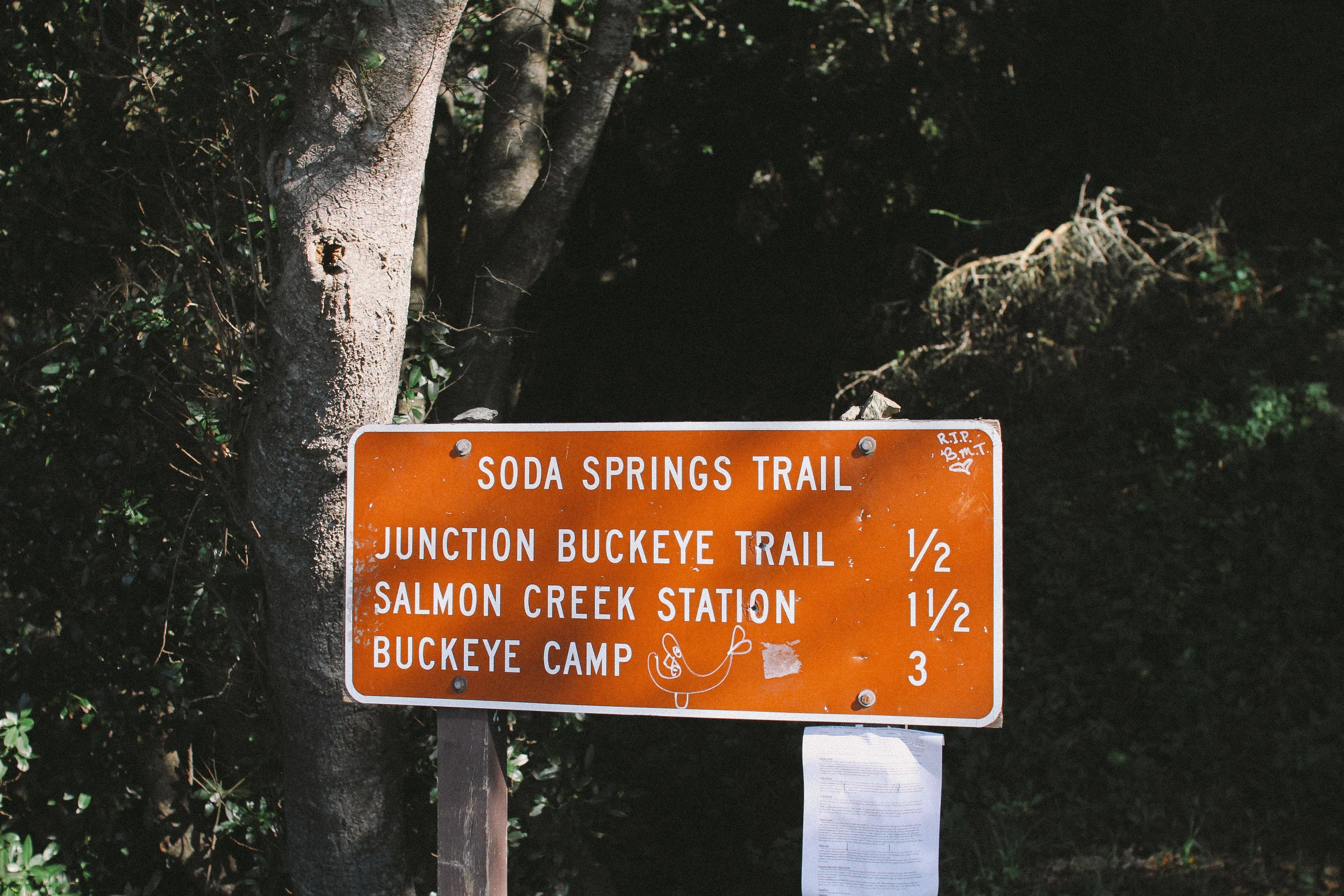 big sur-6.jpg
