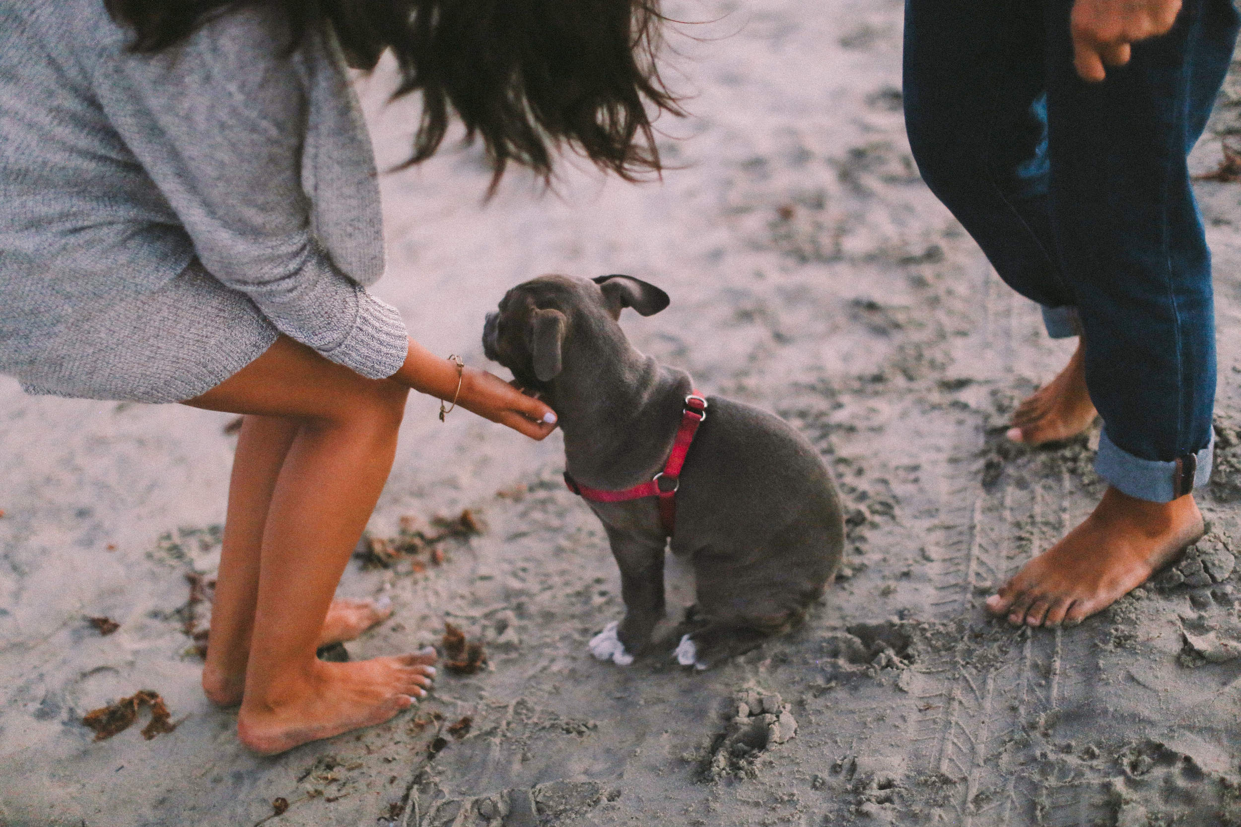 this dog probably knows his own name