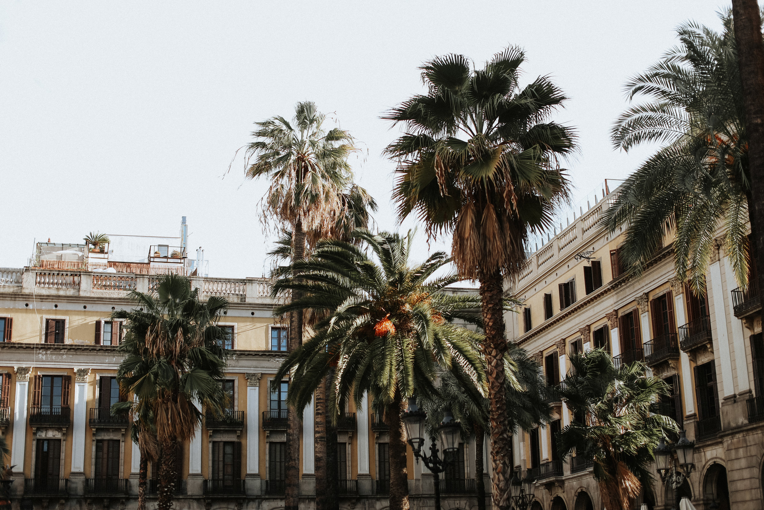bcn-14.jpg