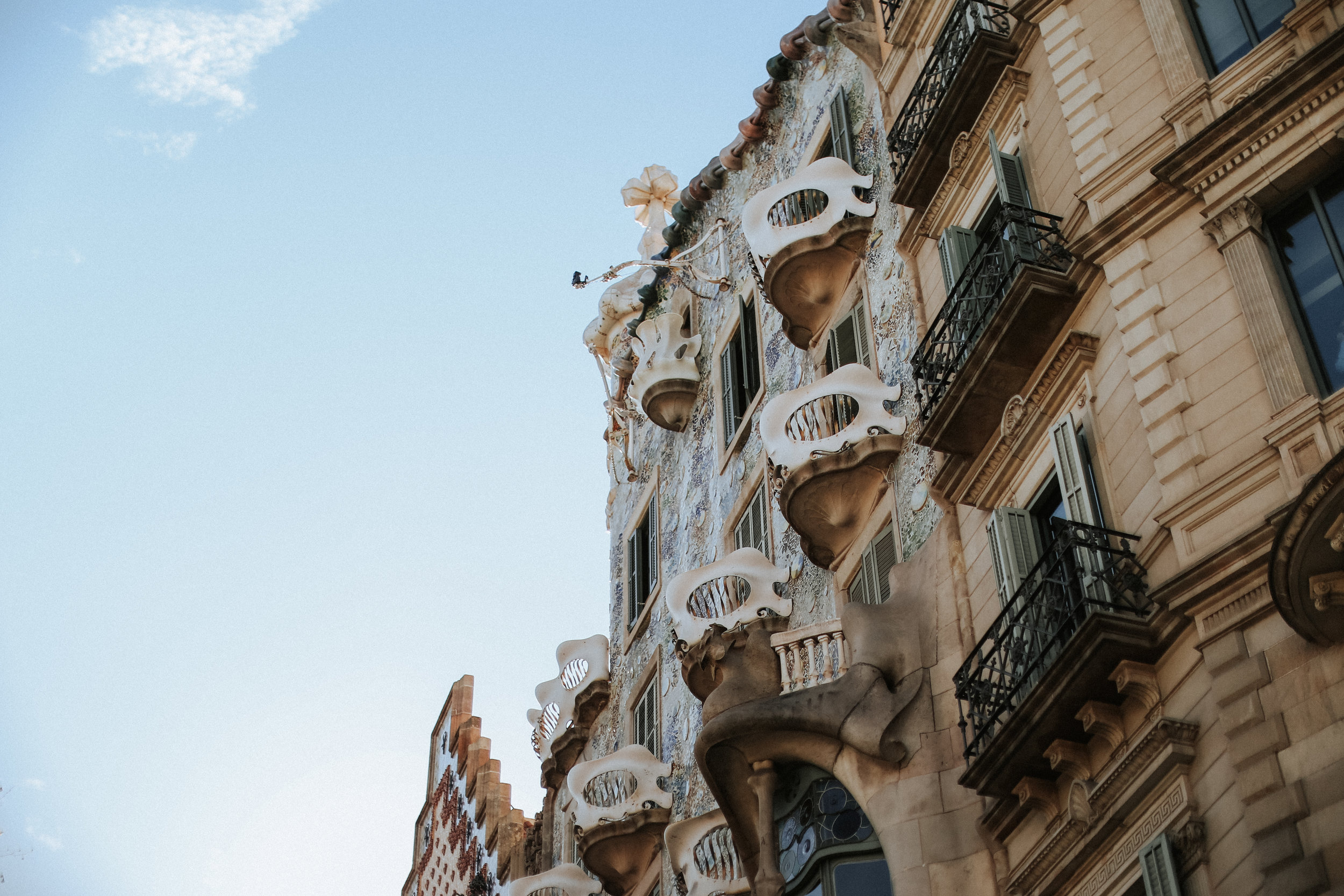 bcn-49.jpg