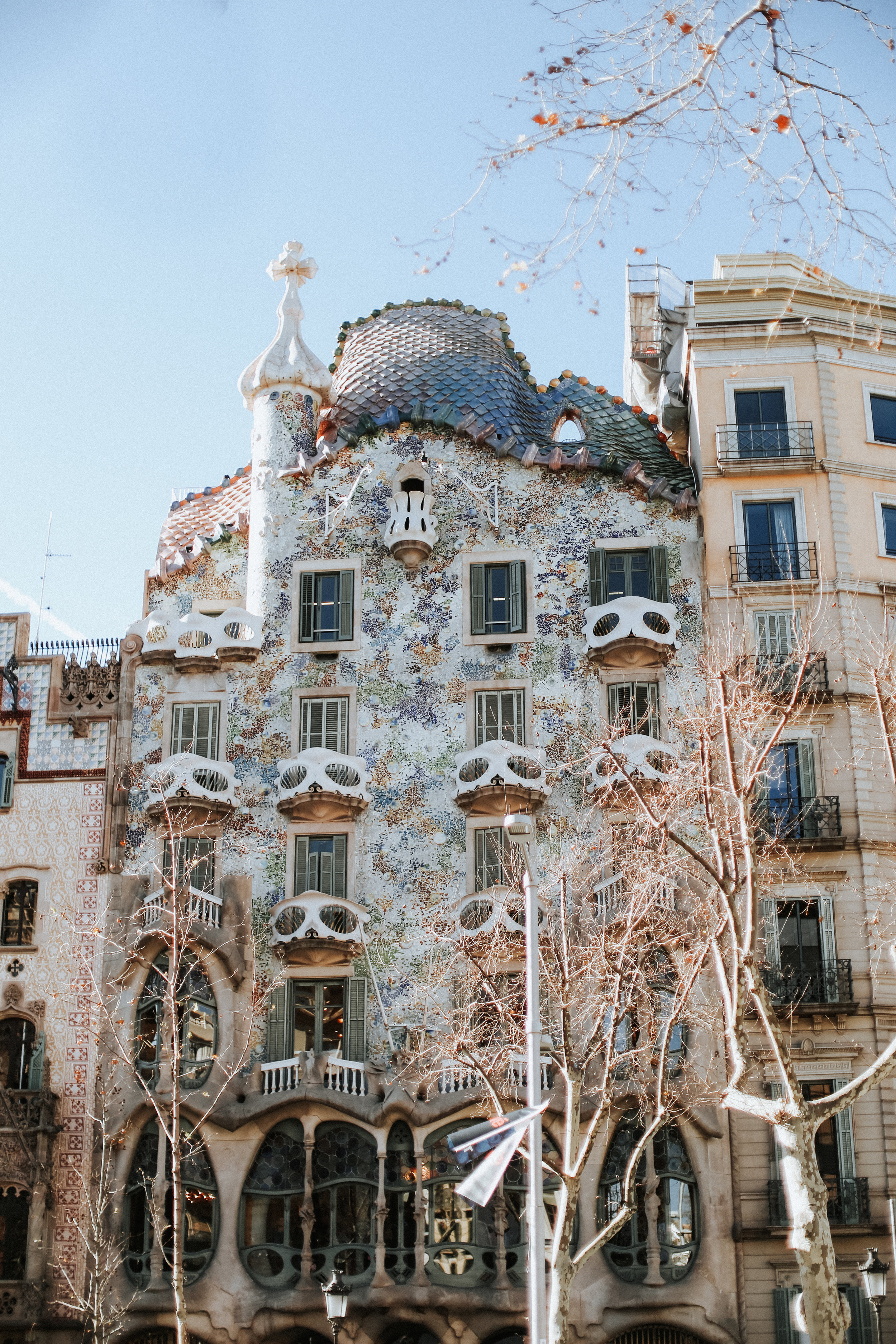 bcn-52.jpg