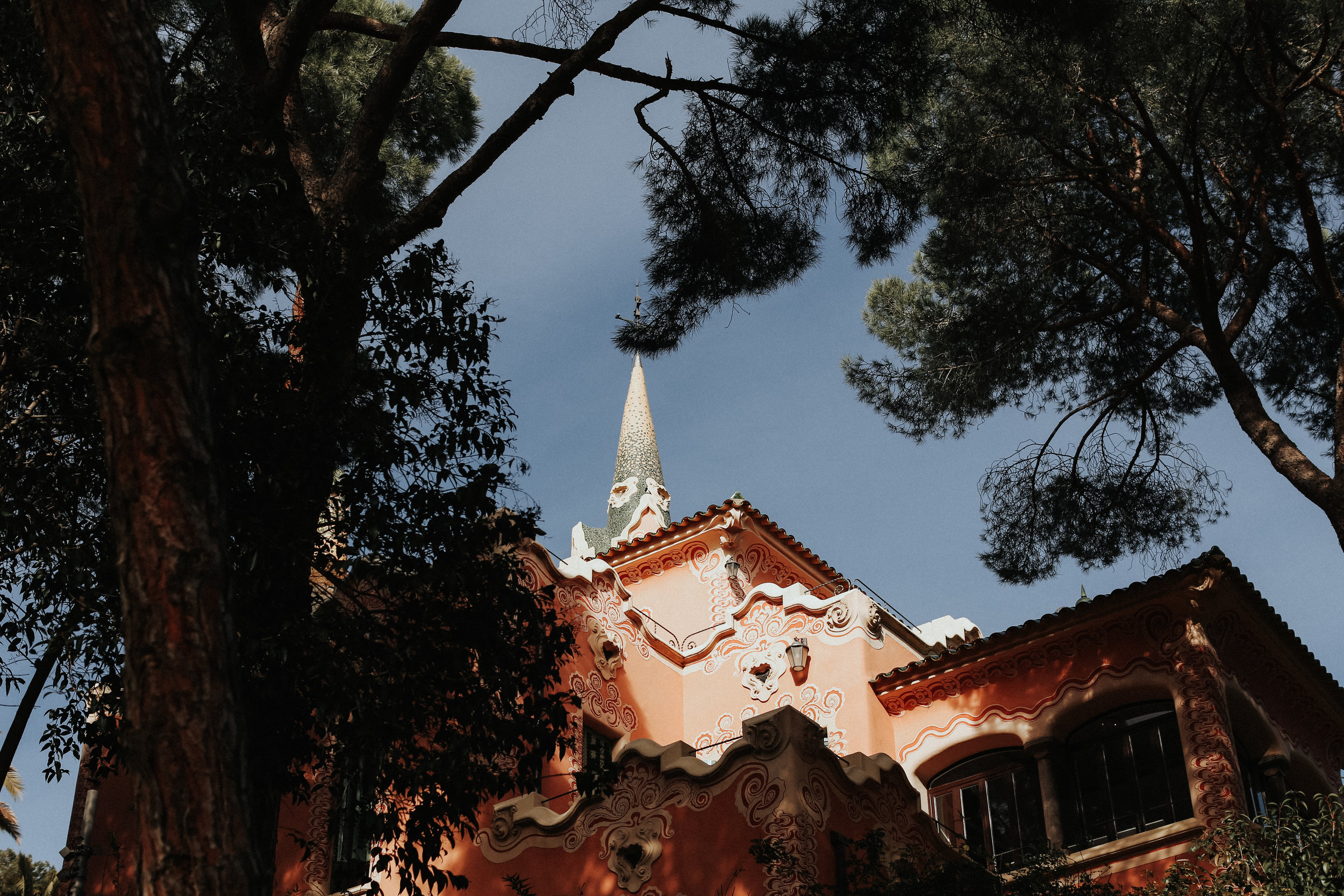 bcn-99.jpg