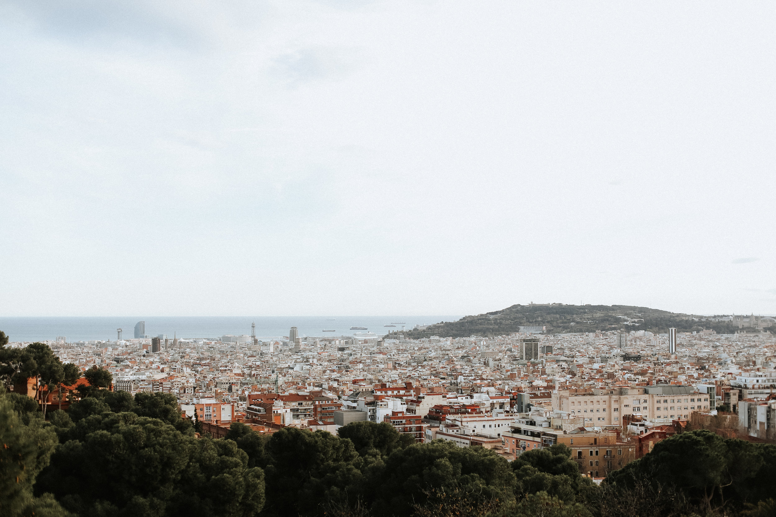 bcn-124.jpg