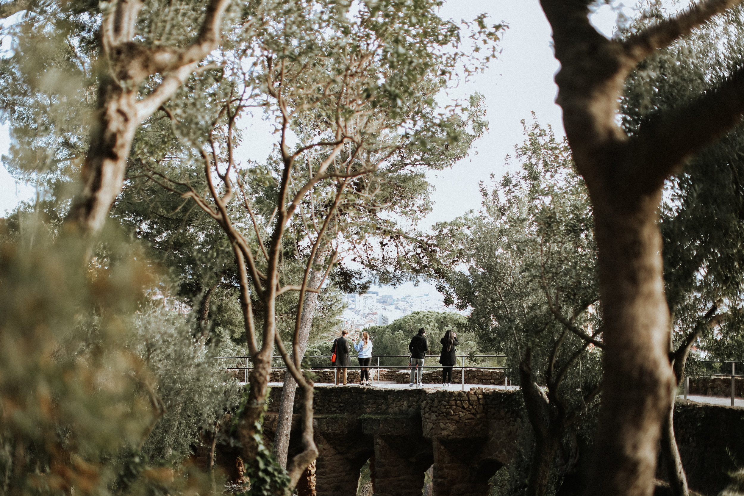 bcn-123.jpg