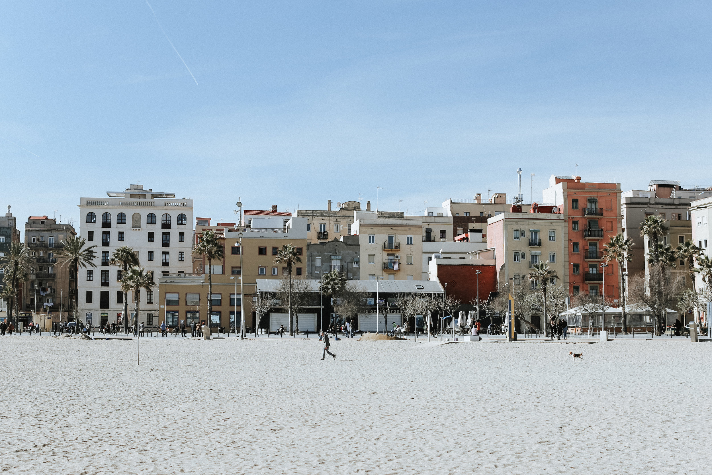 bcn-180.jpg