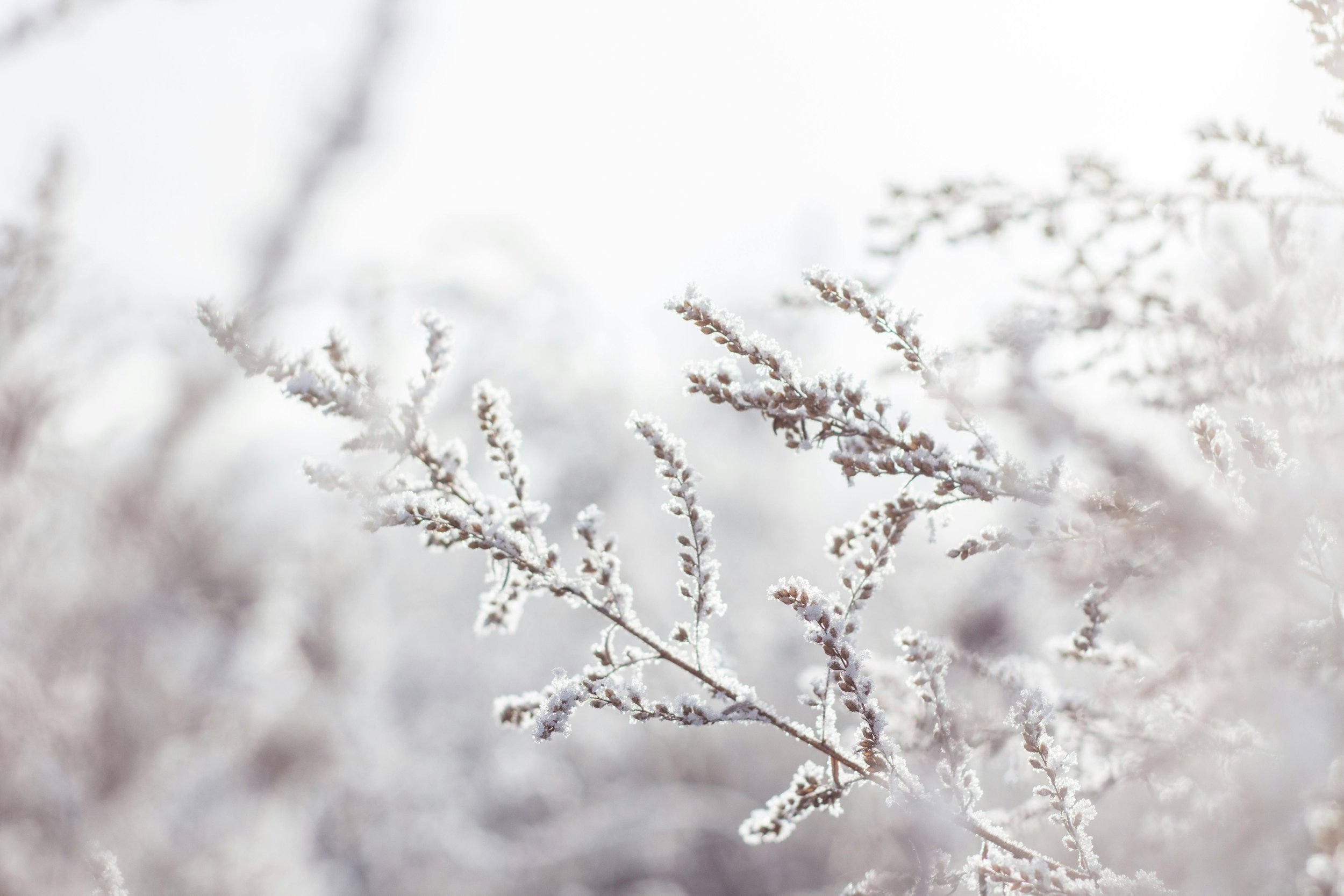 Winter Skin Care Tips from Pure Eco Spa &amp; Boutique